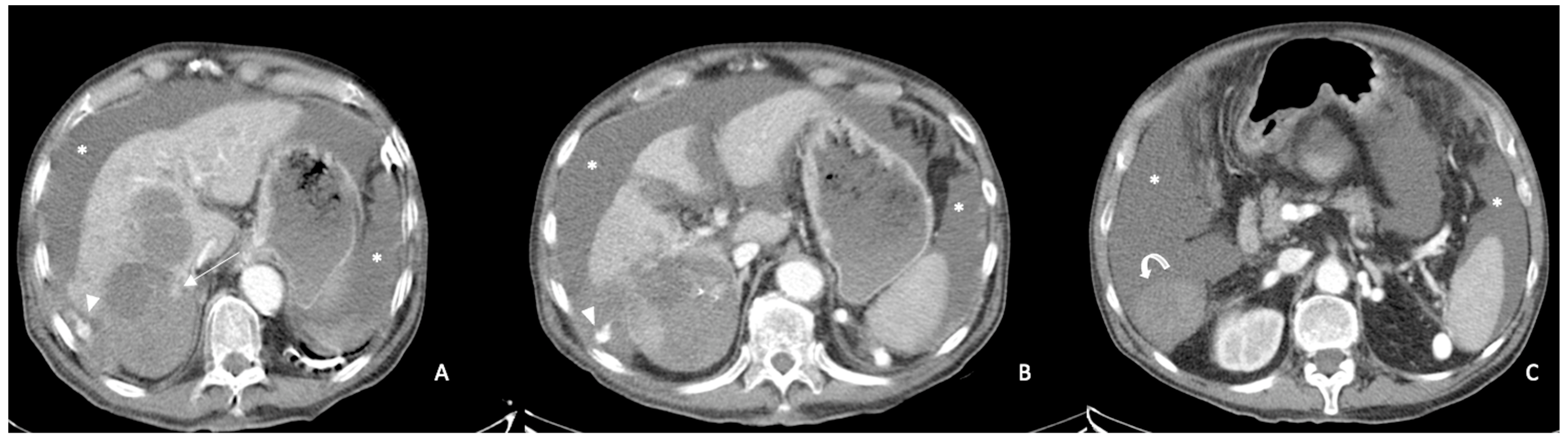 Diagnostics 13 01021 g002