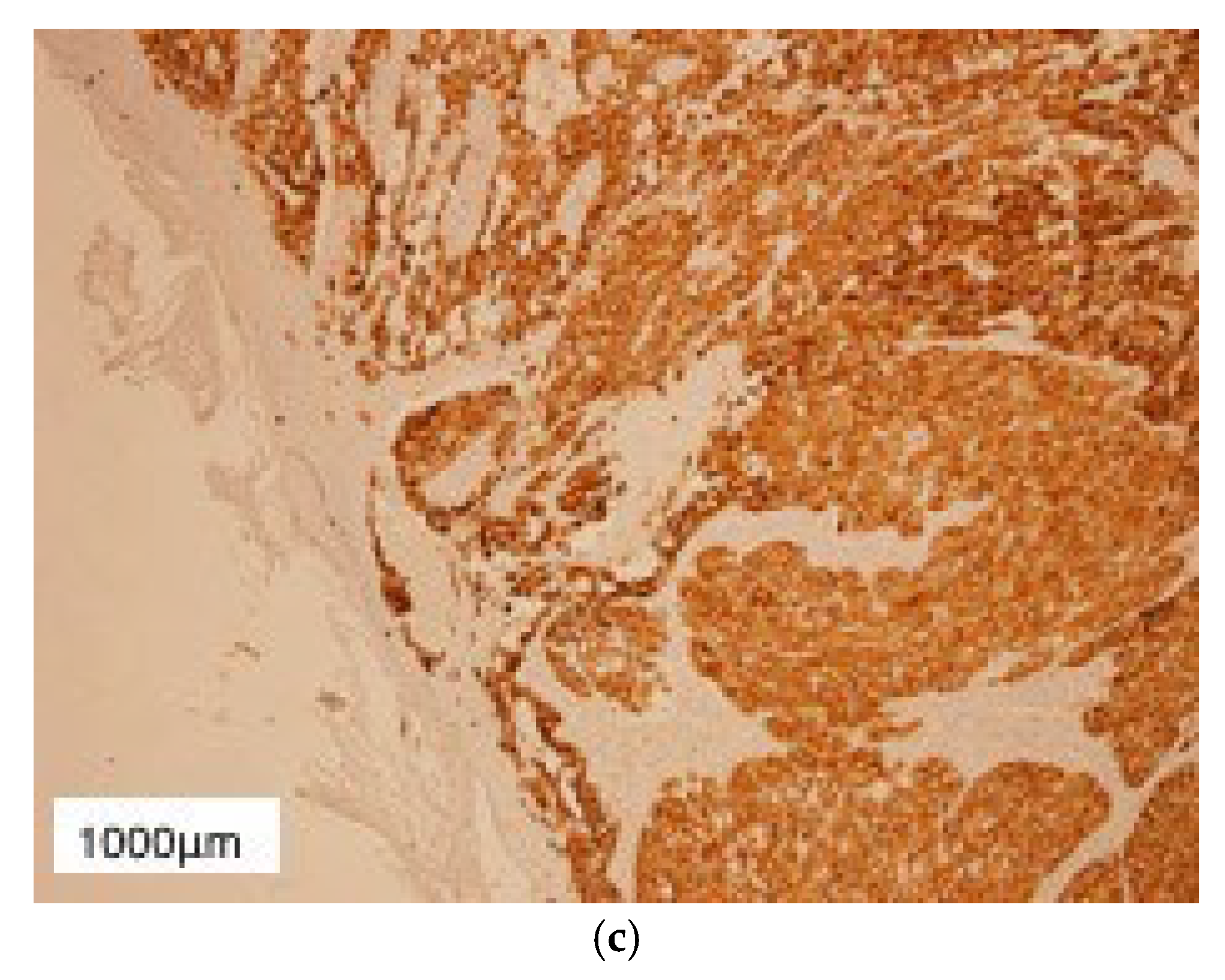 Diagnostics 13 01046 g005b