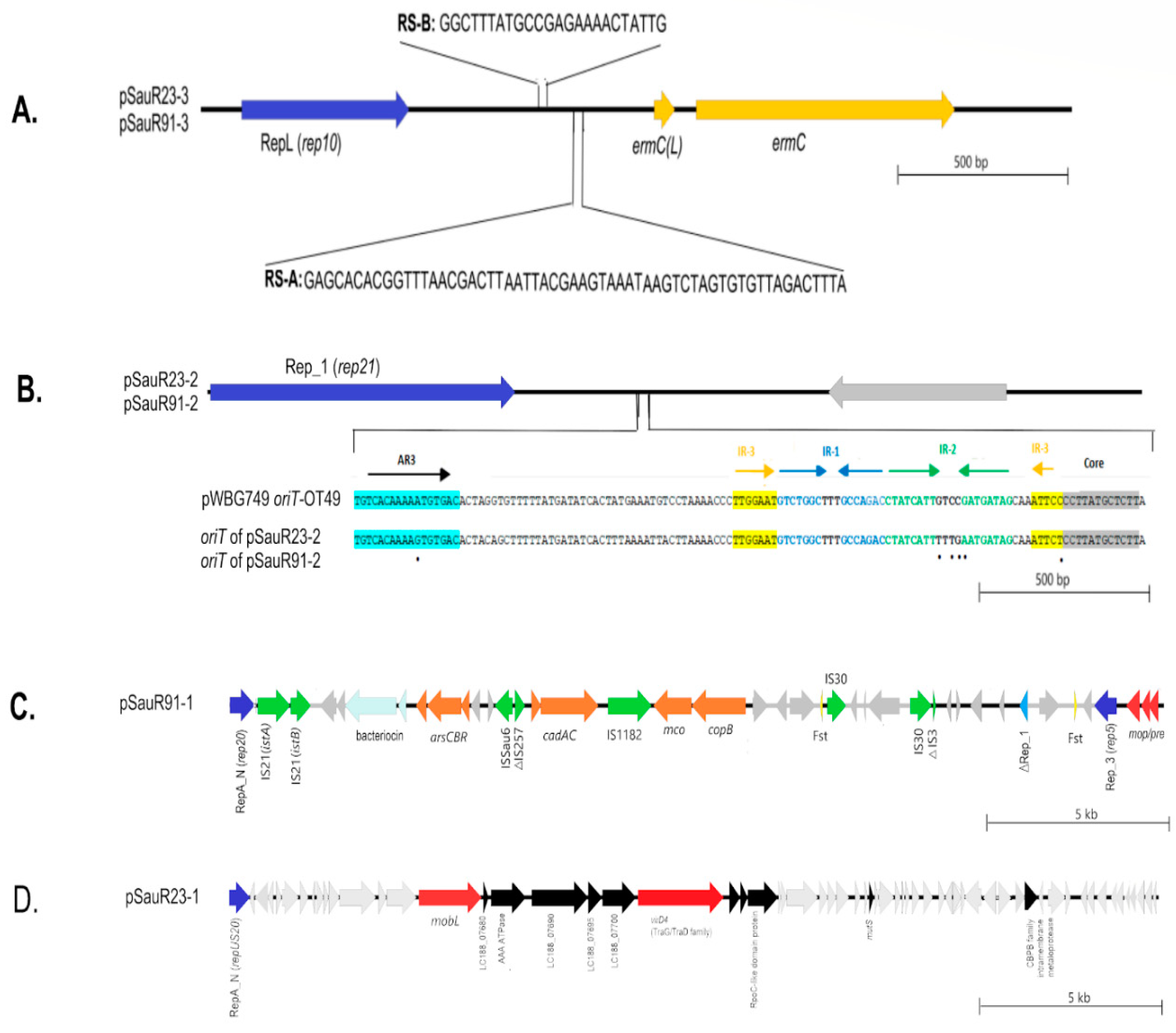 Diagnostics 13 01050 g003 Diagnostics 13 01050 g003