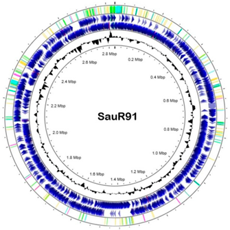 Diagnostics 13 01050 i003 Diagnostics 13 01050 i003