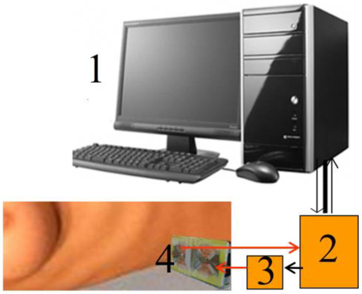 Diagnostics 13 01051 g005