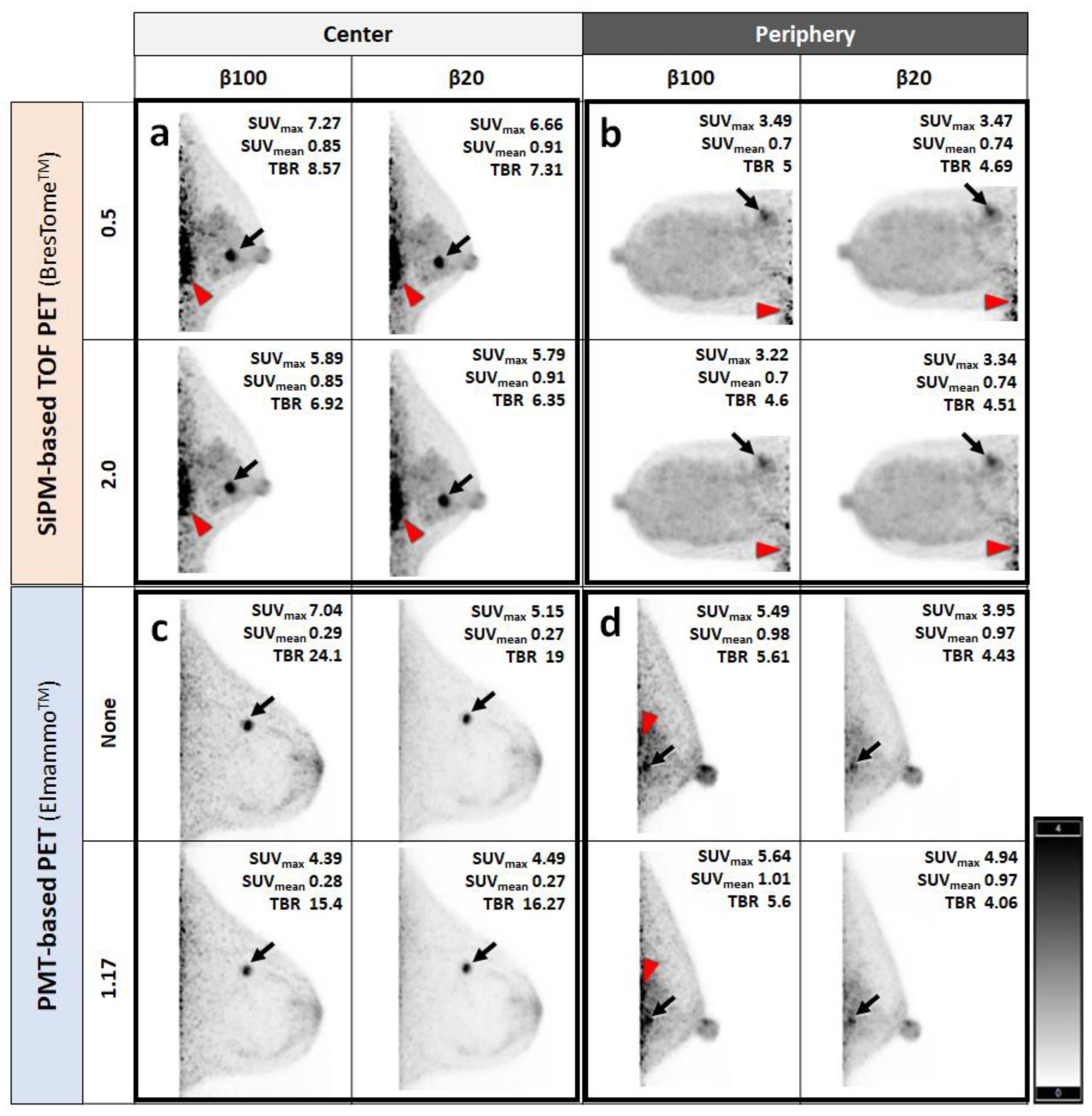 Diagnostics 13 01079 g007