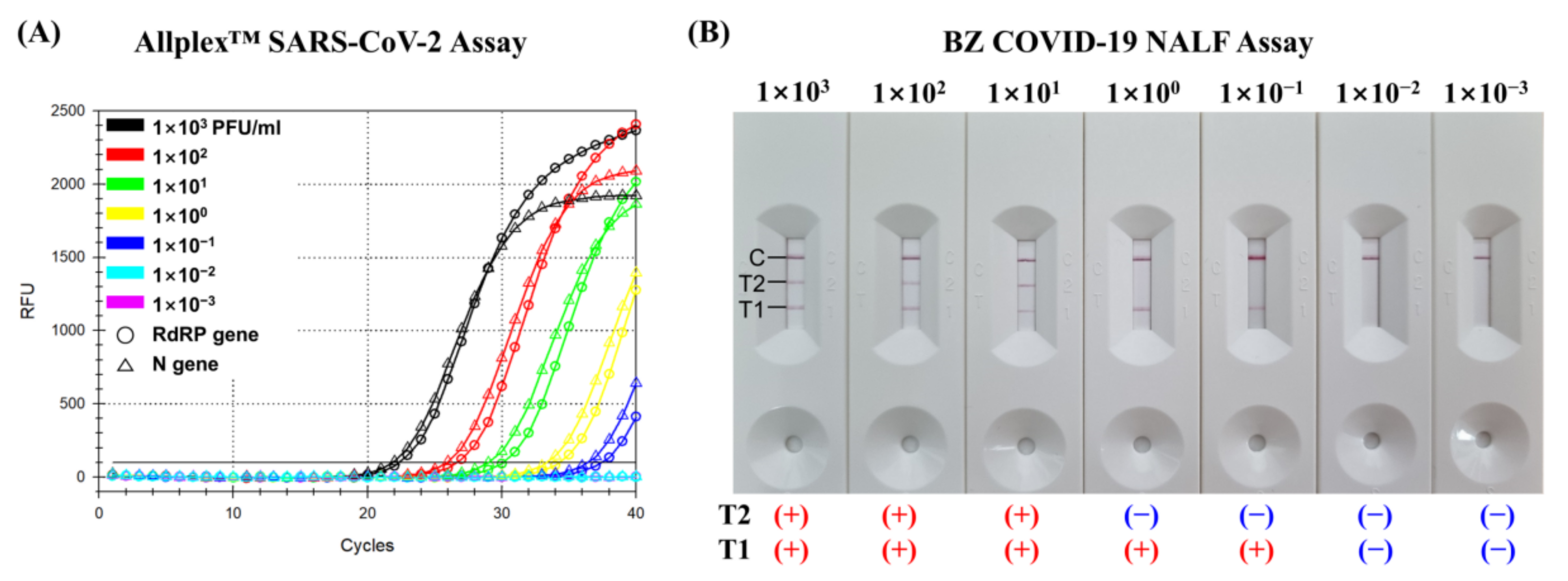 Diagnostics 13 01118 g002 Diagnostics 13 01118 g002