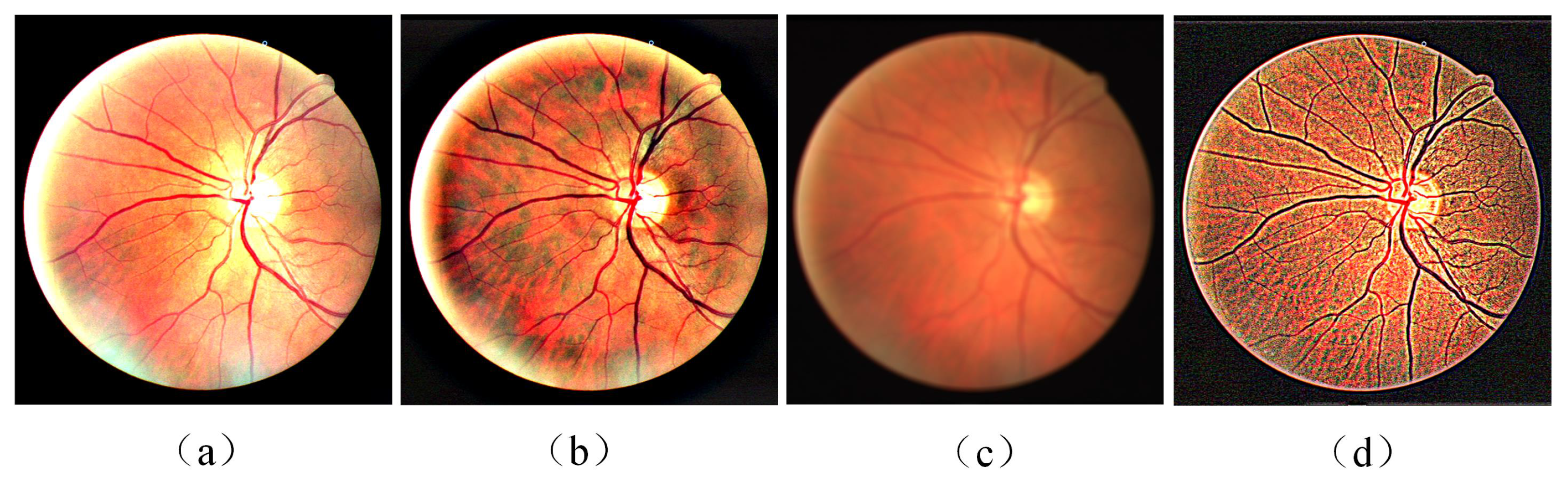 Diagnostics 13 01148 g010