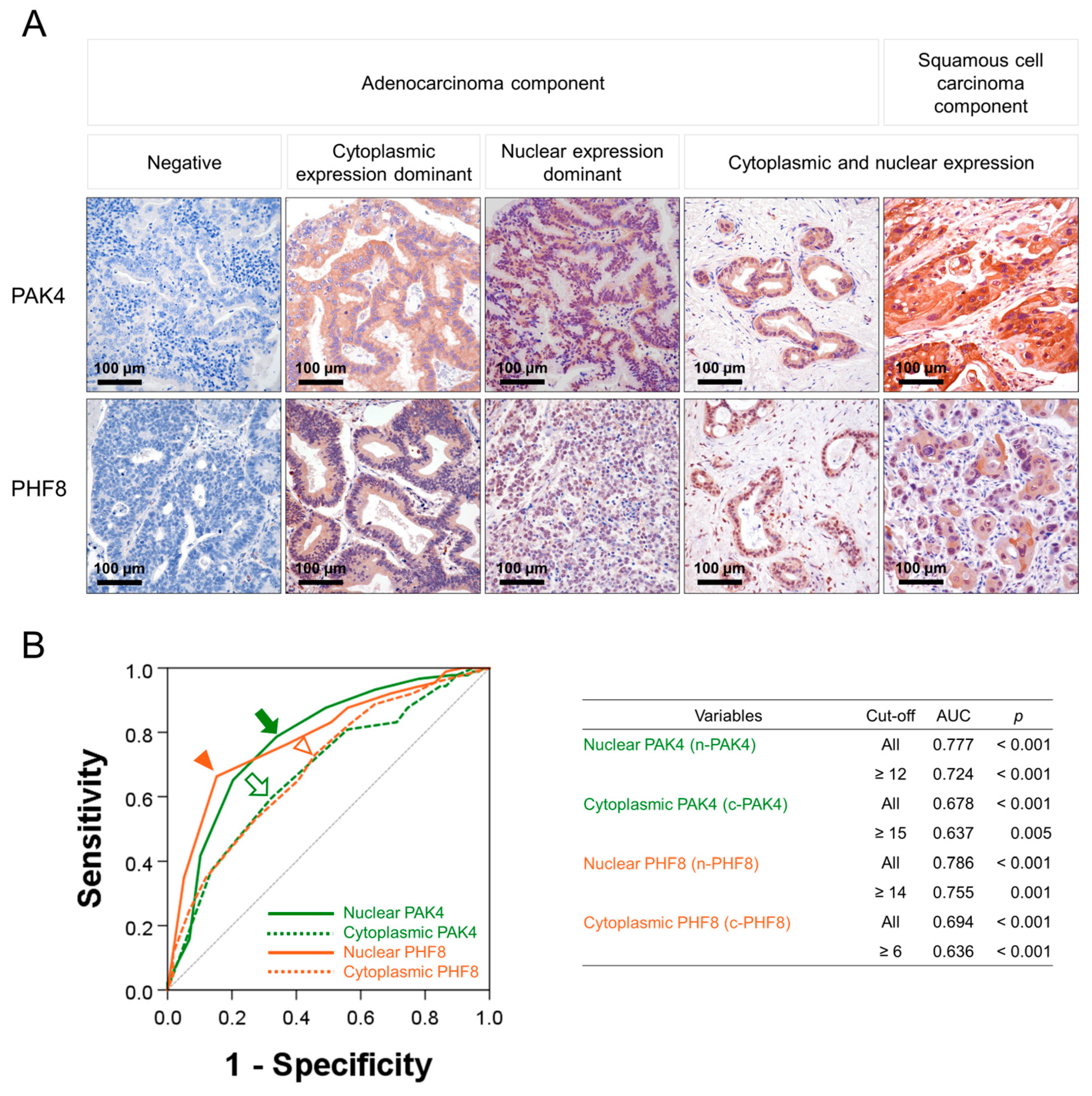 Diagnostics 13 01149 g001 Diagnostics 13 01149 g001