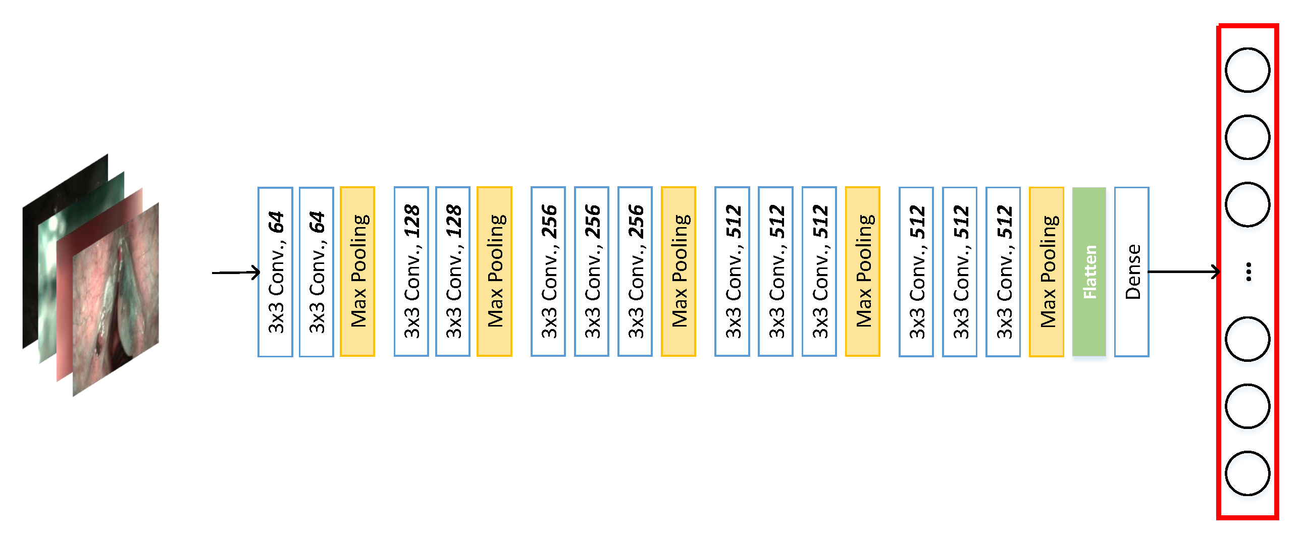 Diagnostics 13 01151 g002 Diagnostics 13 01151 g002