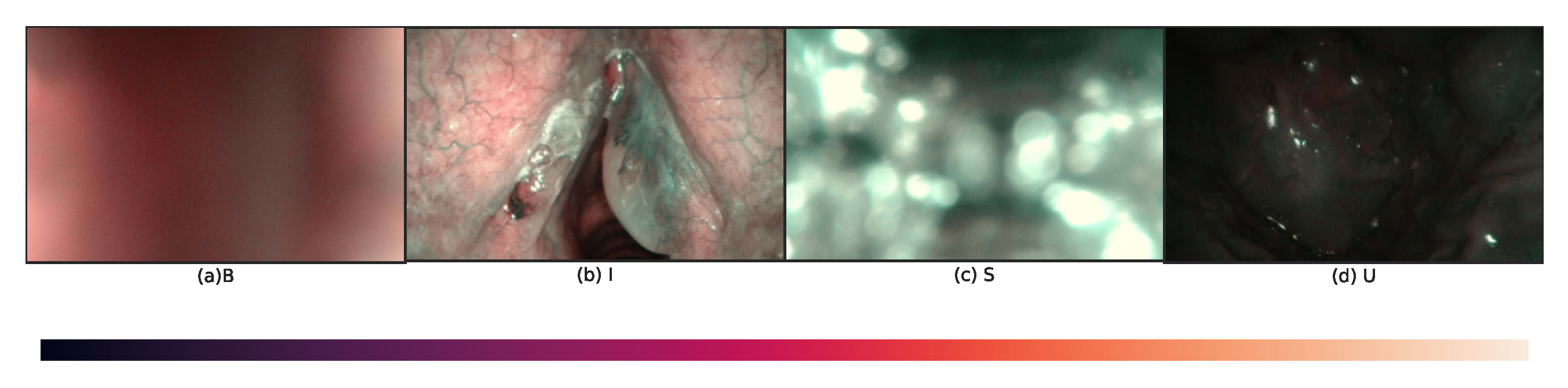 Diagnostics 13 01151 g003 Diagnostics 13 01151 g003