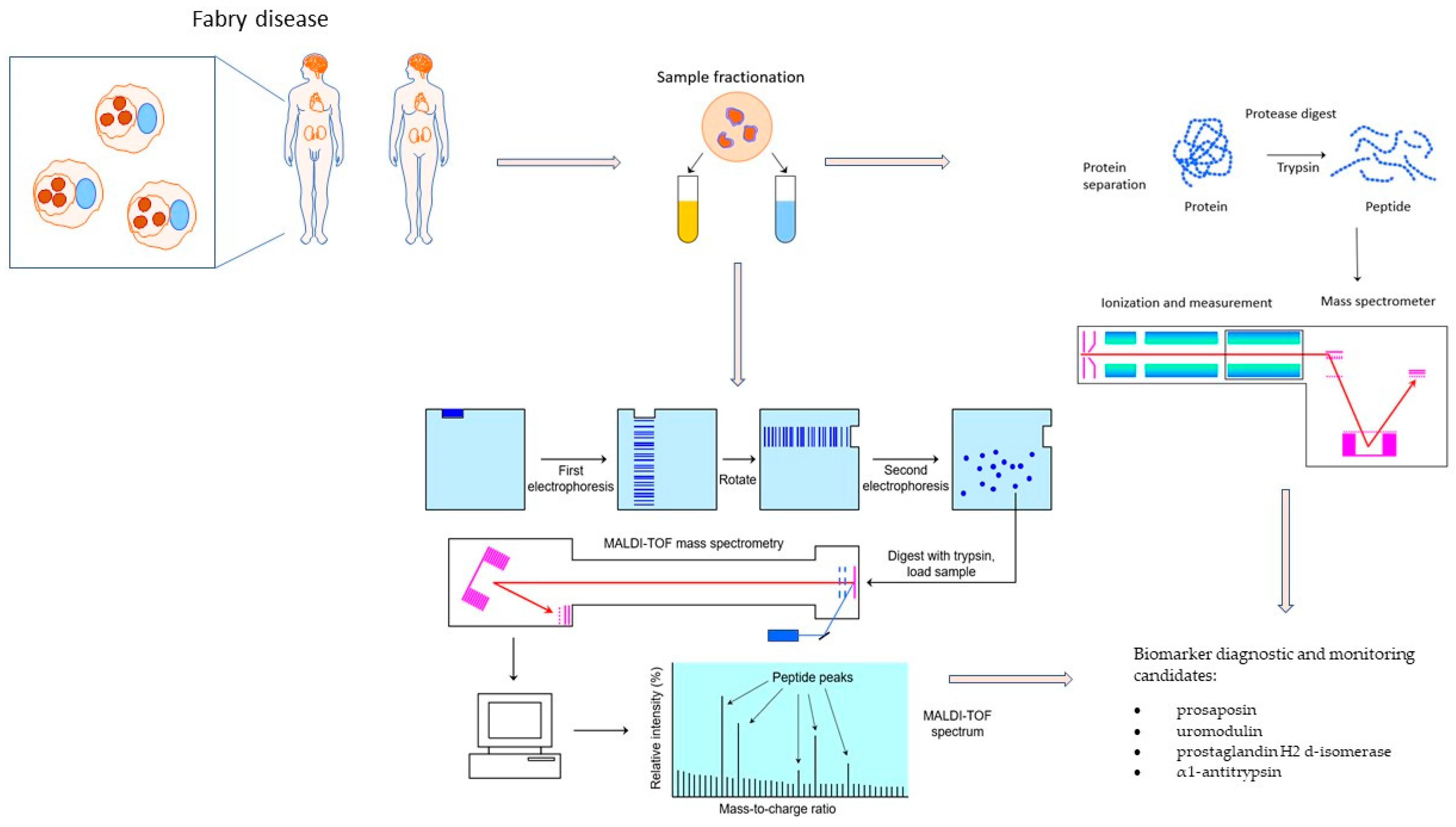 Diagnostics 13 01152 g002
