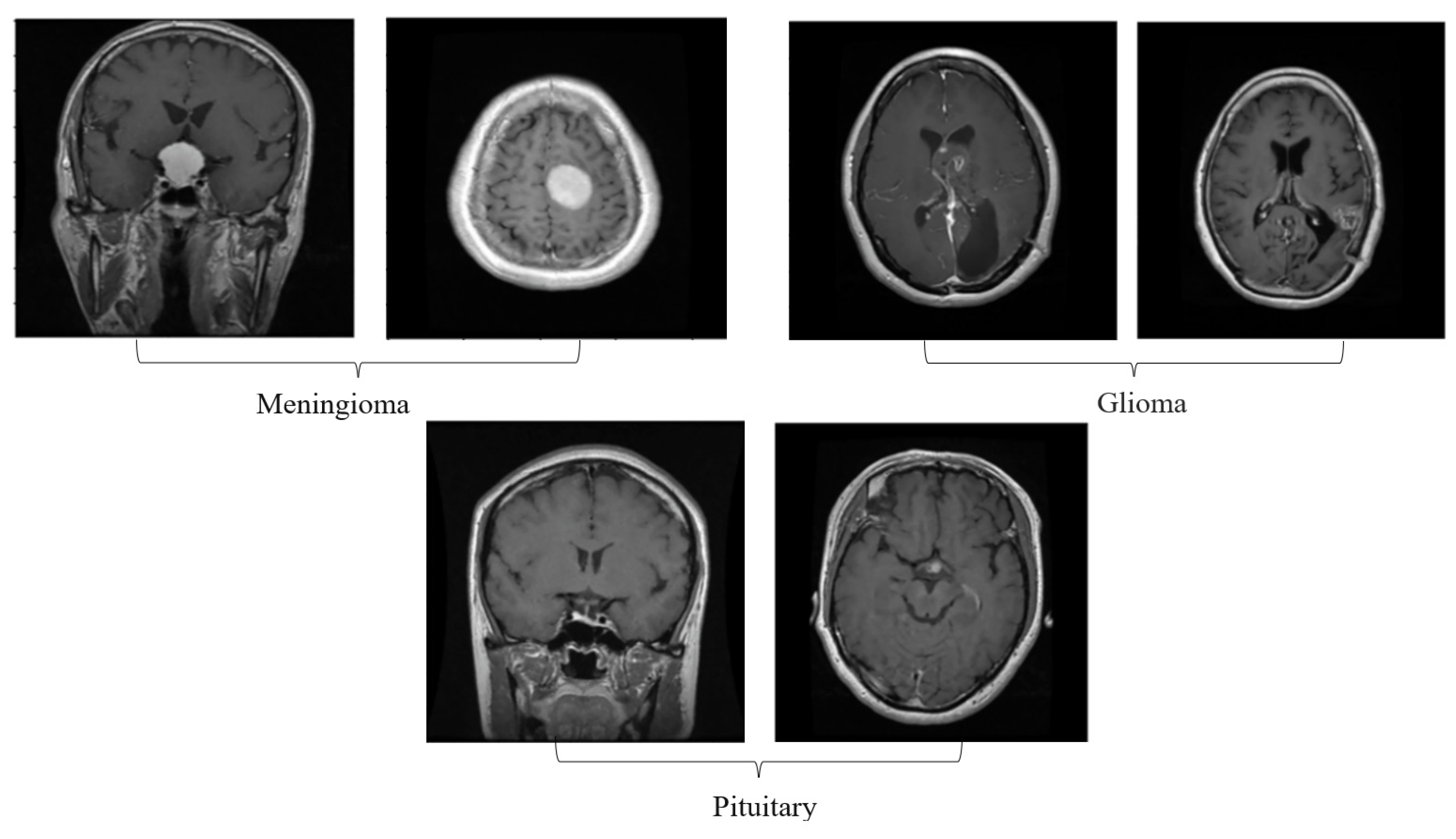 Diagnostics 13 01153 g001 Diagnostics 13 01153 g001