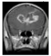 Diagnostics 13 01153 i001 Diagnostics 13 01153 i001