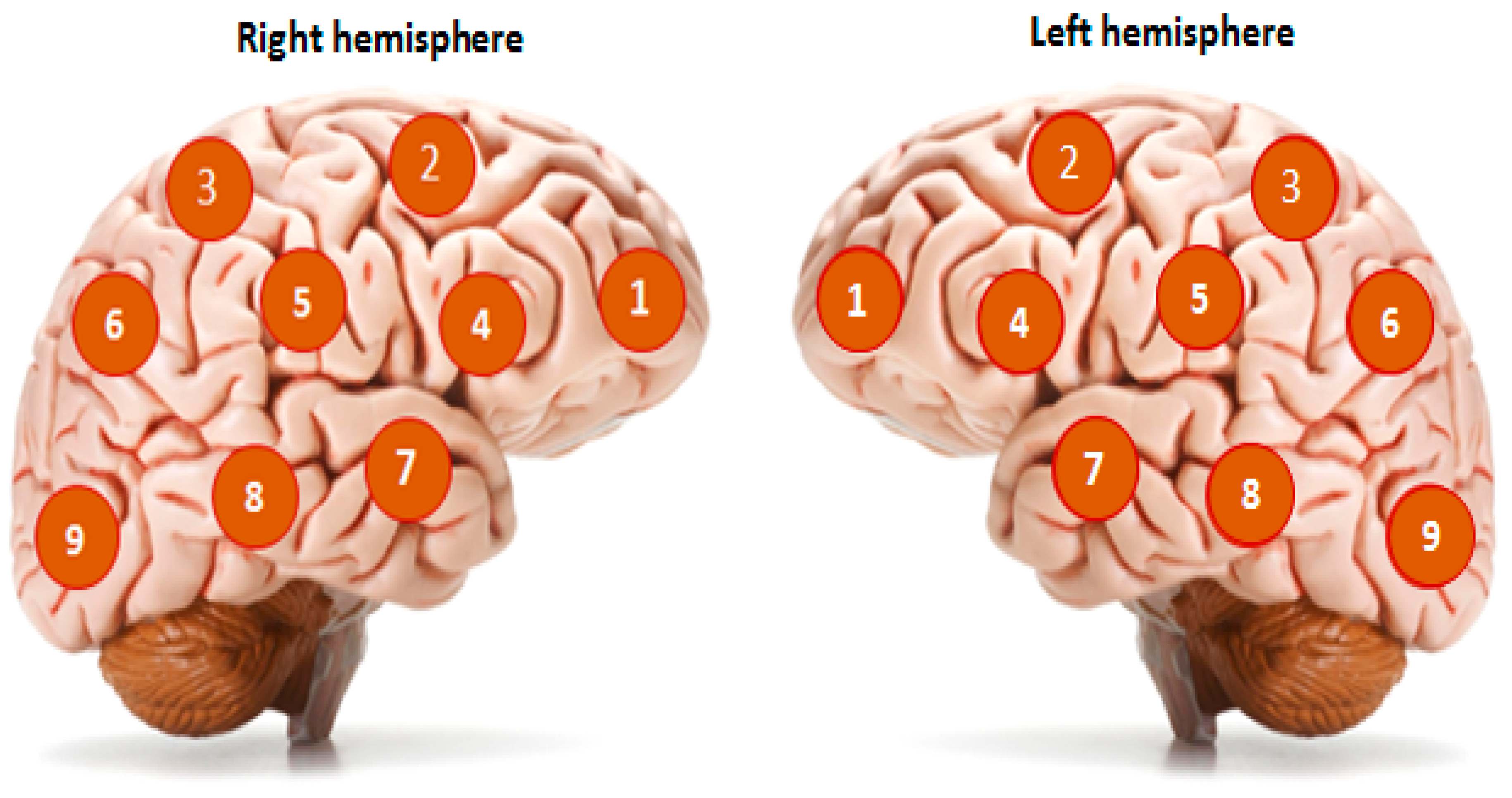 Diagnostics 13 01159 g002 Diagnostics 13 01159 g002