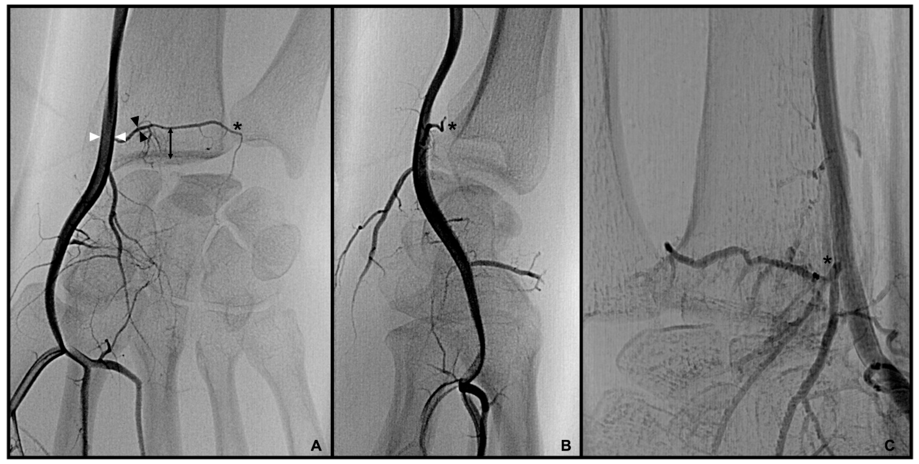 Diagnostics 13 01198 g002 Diagnostics 13 01198 g002