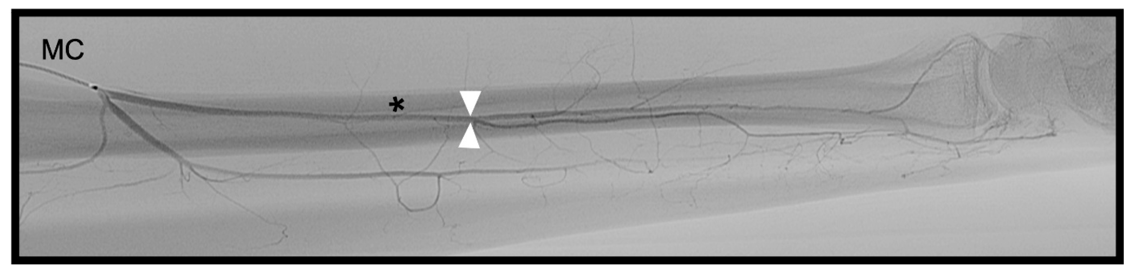 Diagnostics 13 01198 g004 Diagnostics 13 01198 g004