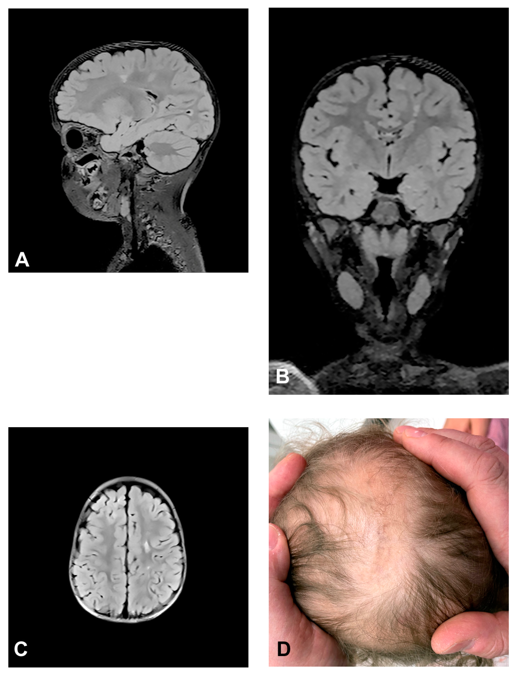 Diagnostics 13 01300 g003