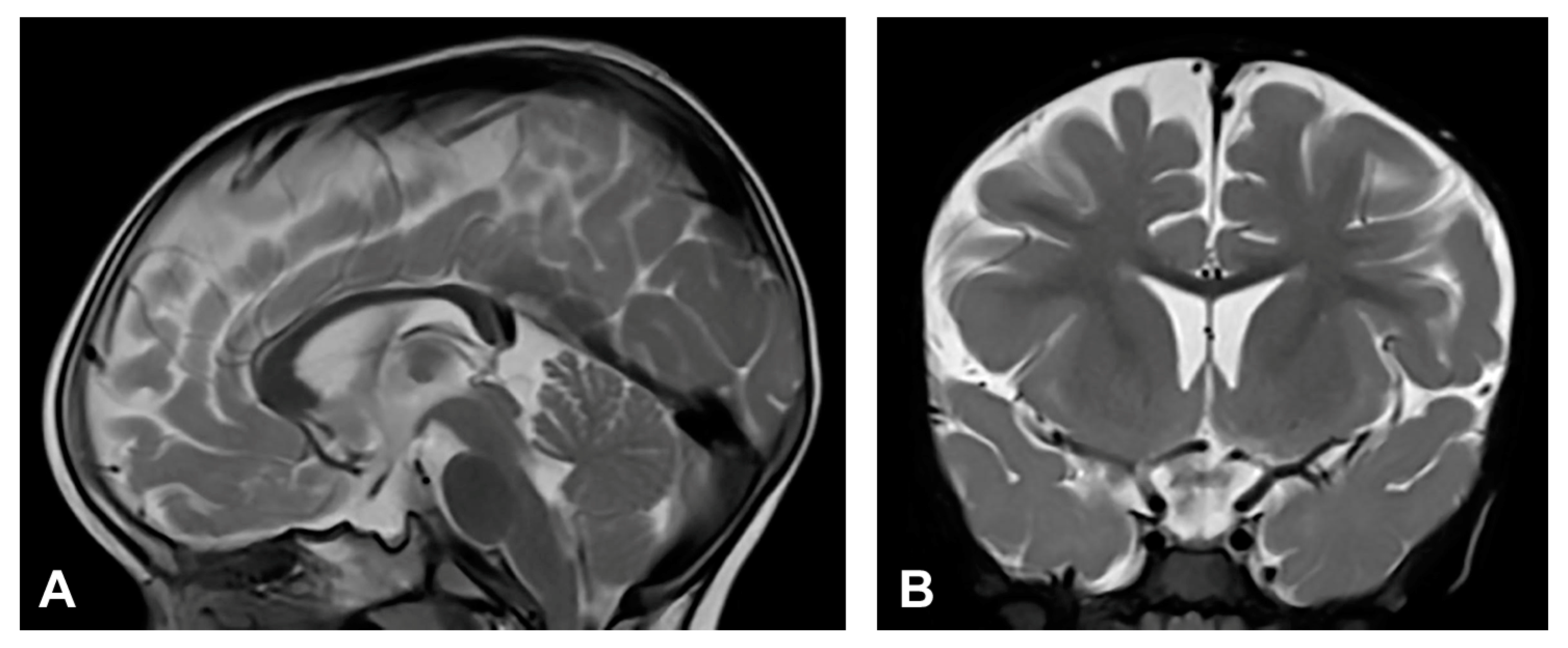 Diagnostics 13 01300 g006
