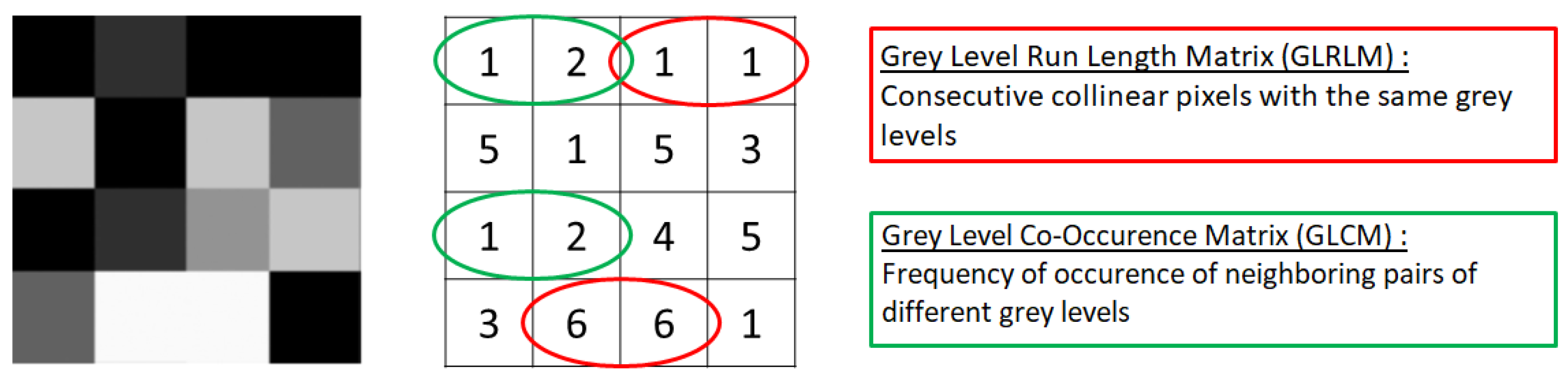 Diagnostics 13 01303 g002