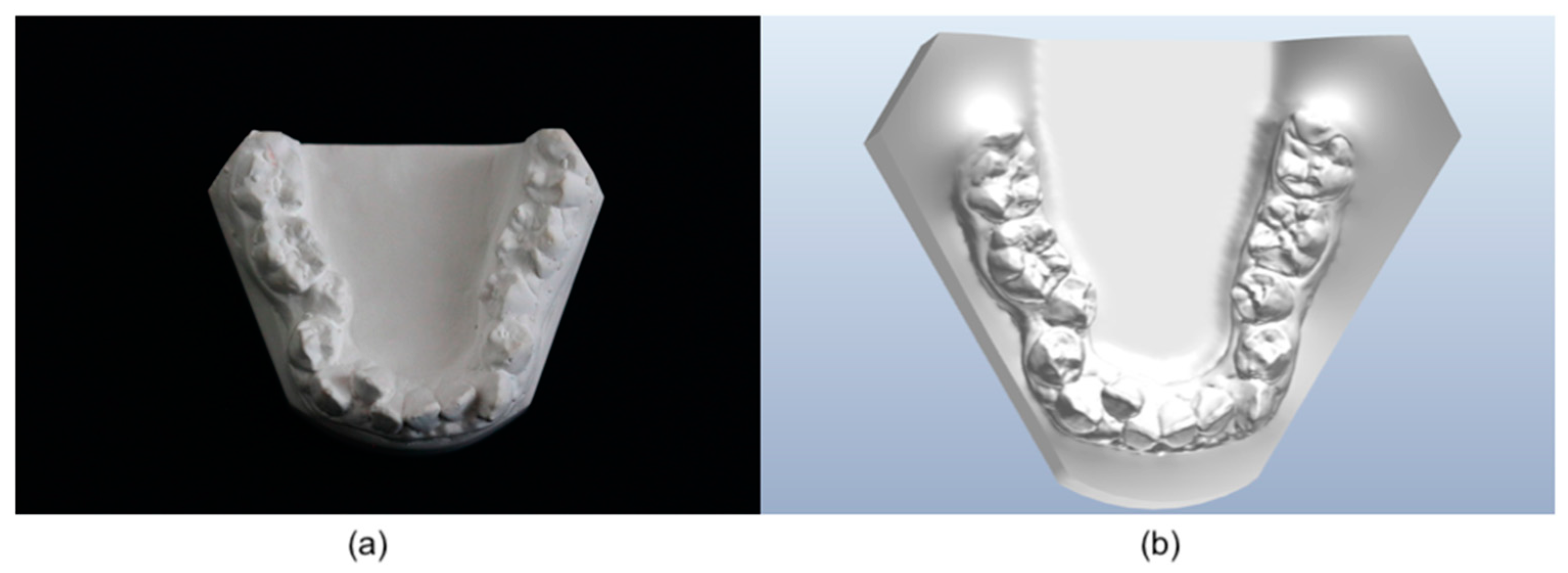 Diagnostics 13 01304 g001