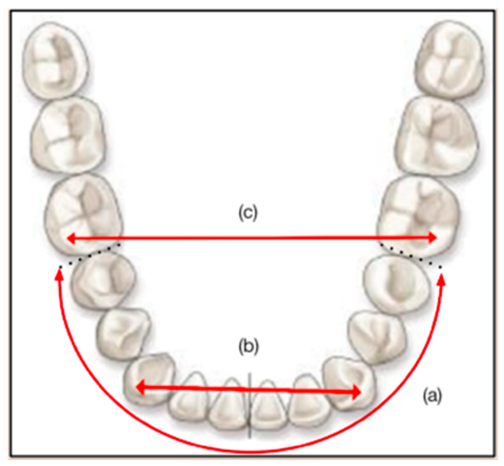 Diagnostics 13 01304 g002