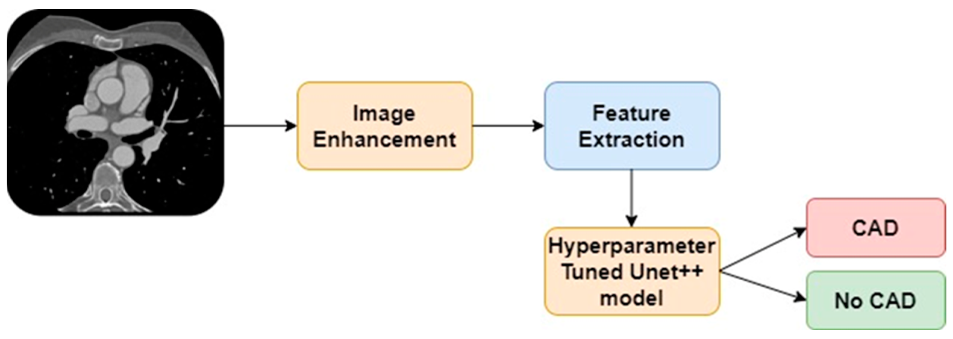 Diagnostics | Free Full-Text | Developing A Deep-Learning-Based ...