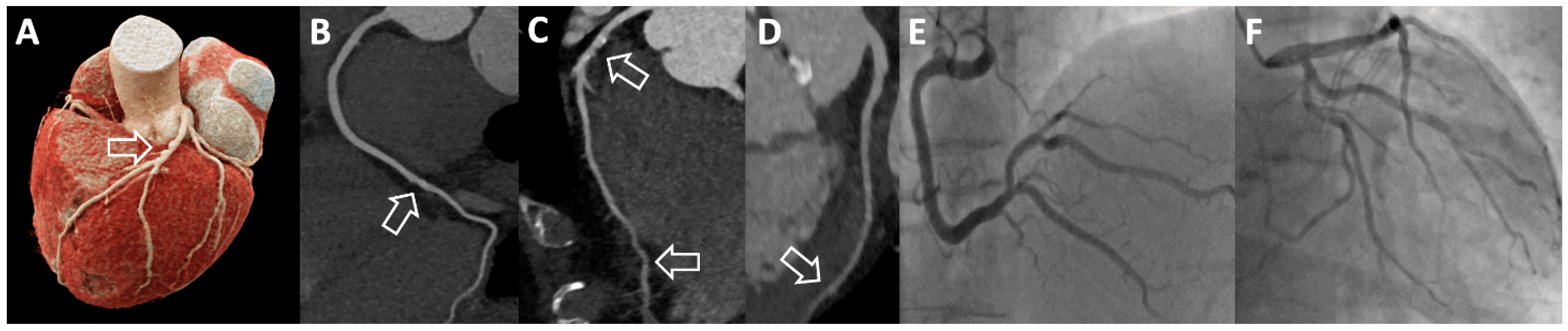 Diagnostics 13 01327 g001 Diagnostics 13 01327 g001