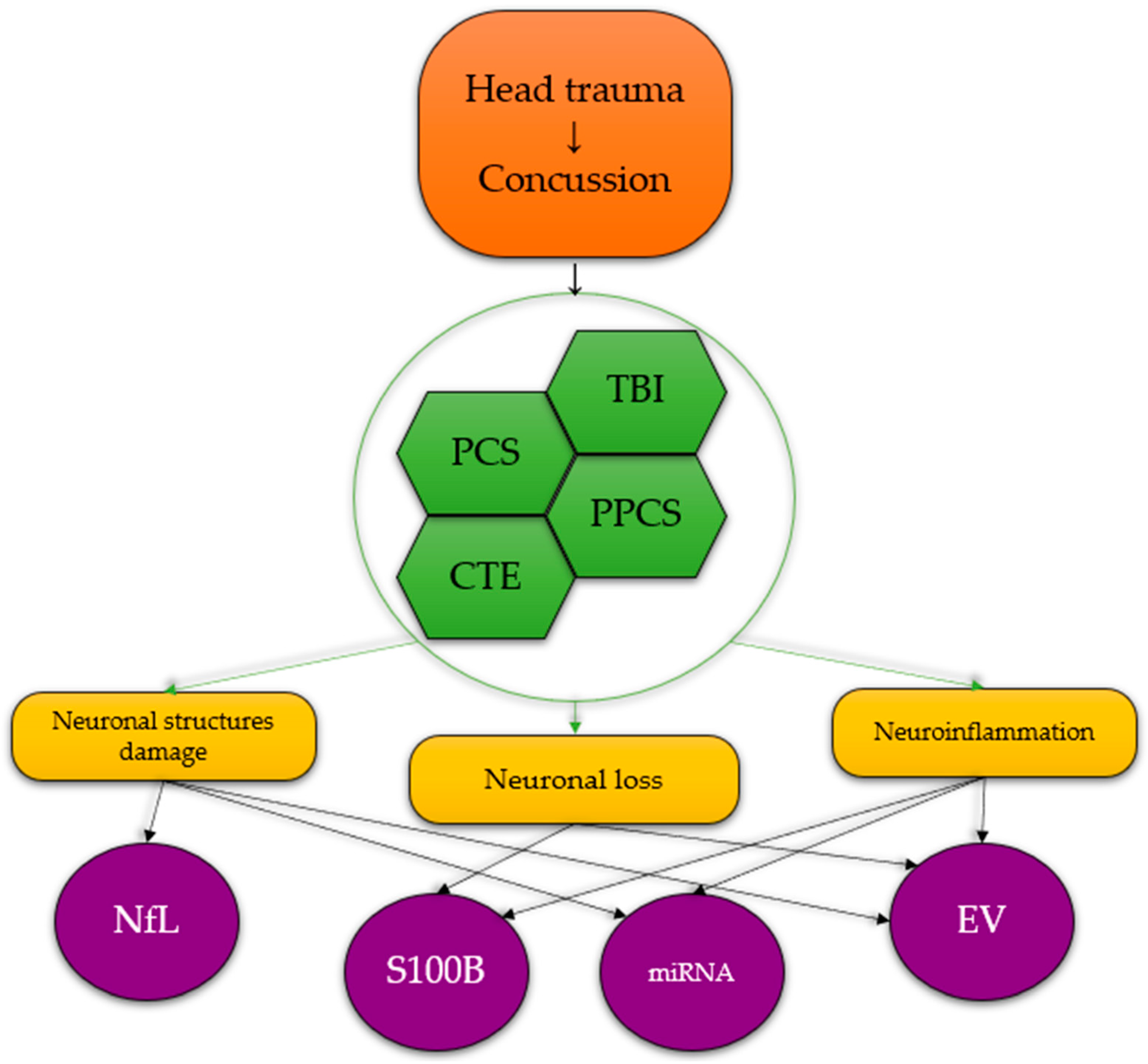 Does CTE directly correlate to violent behavior in athletes? – The Chant