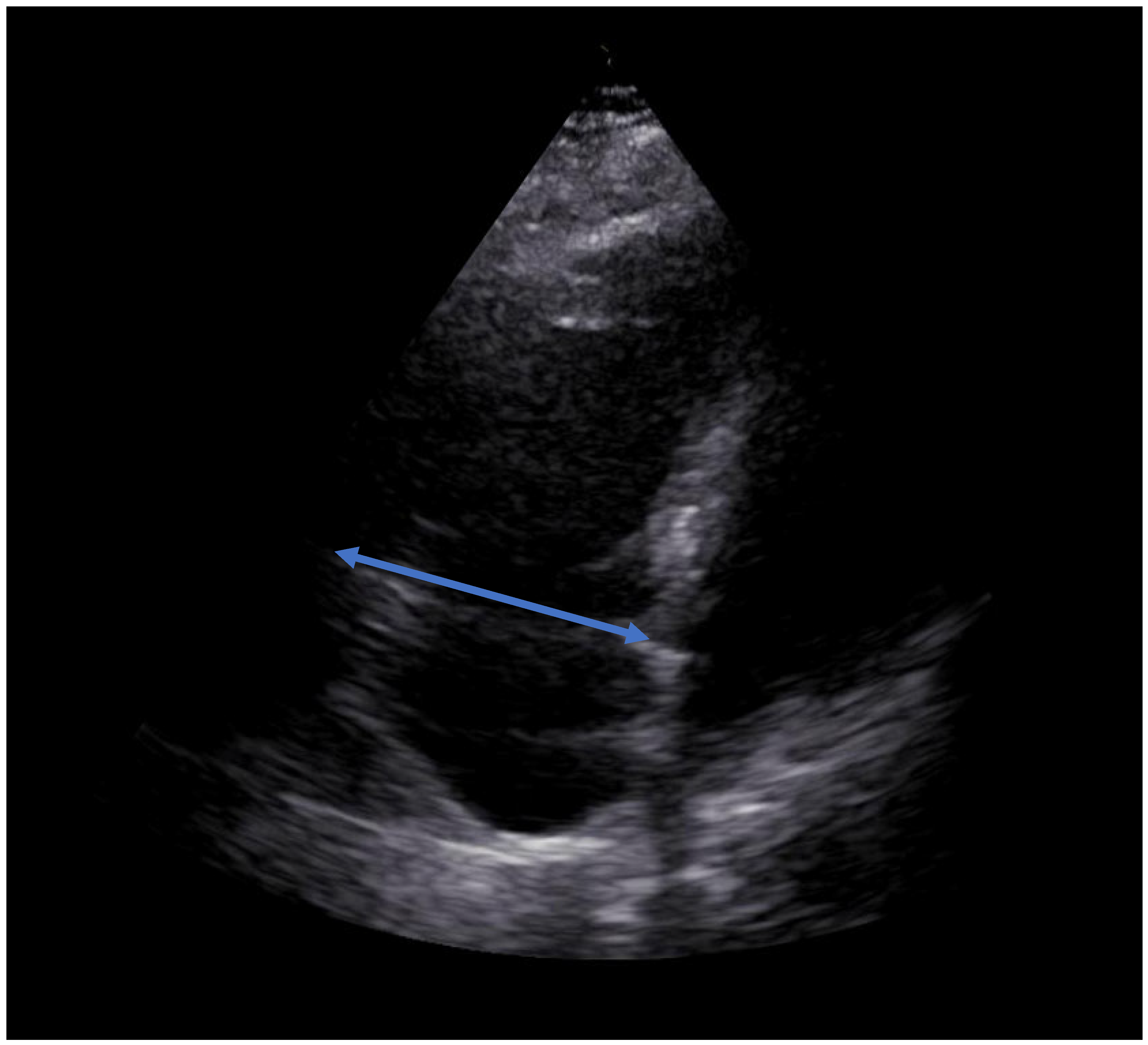 Diagnostics 13 01392 g002