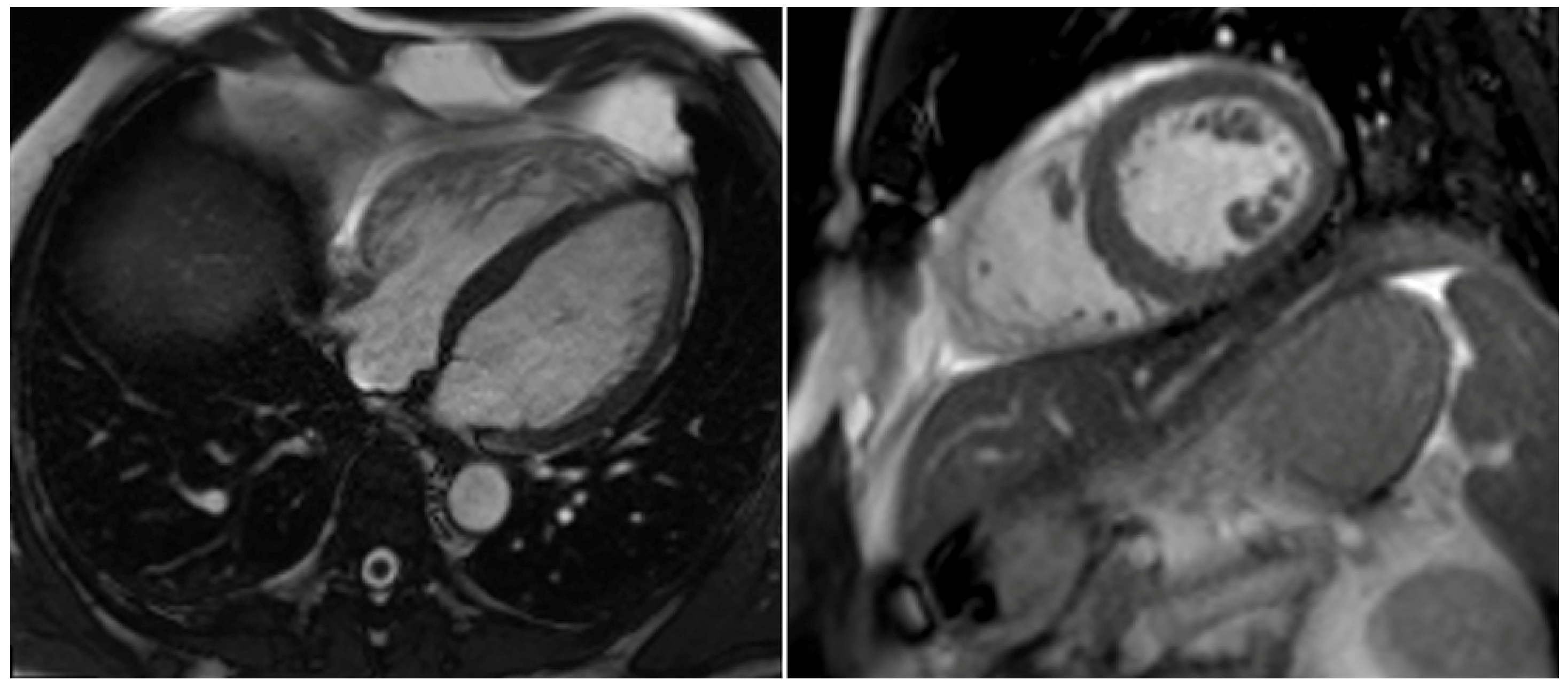 Diagnostics 13 01392 g010