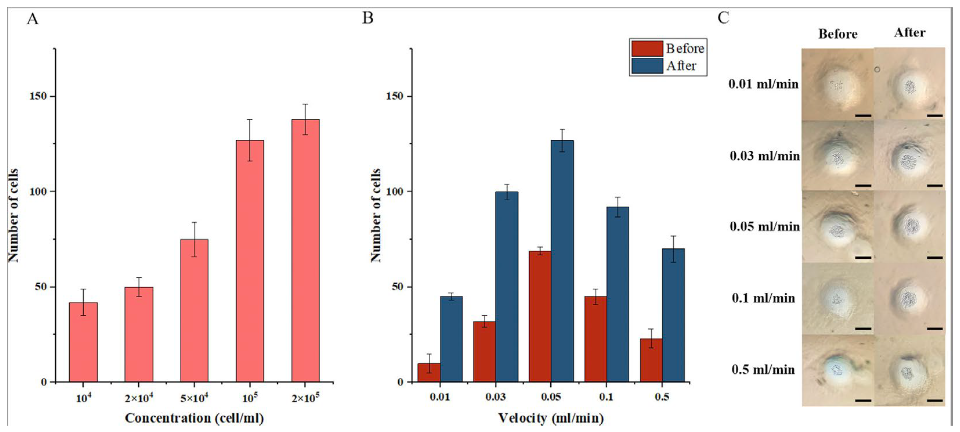 Diagnostics 13 01394 g003