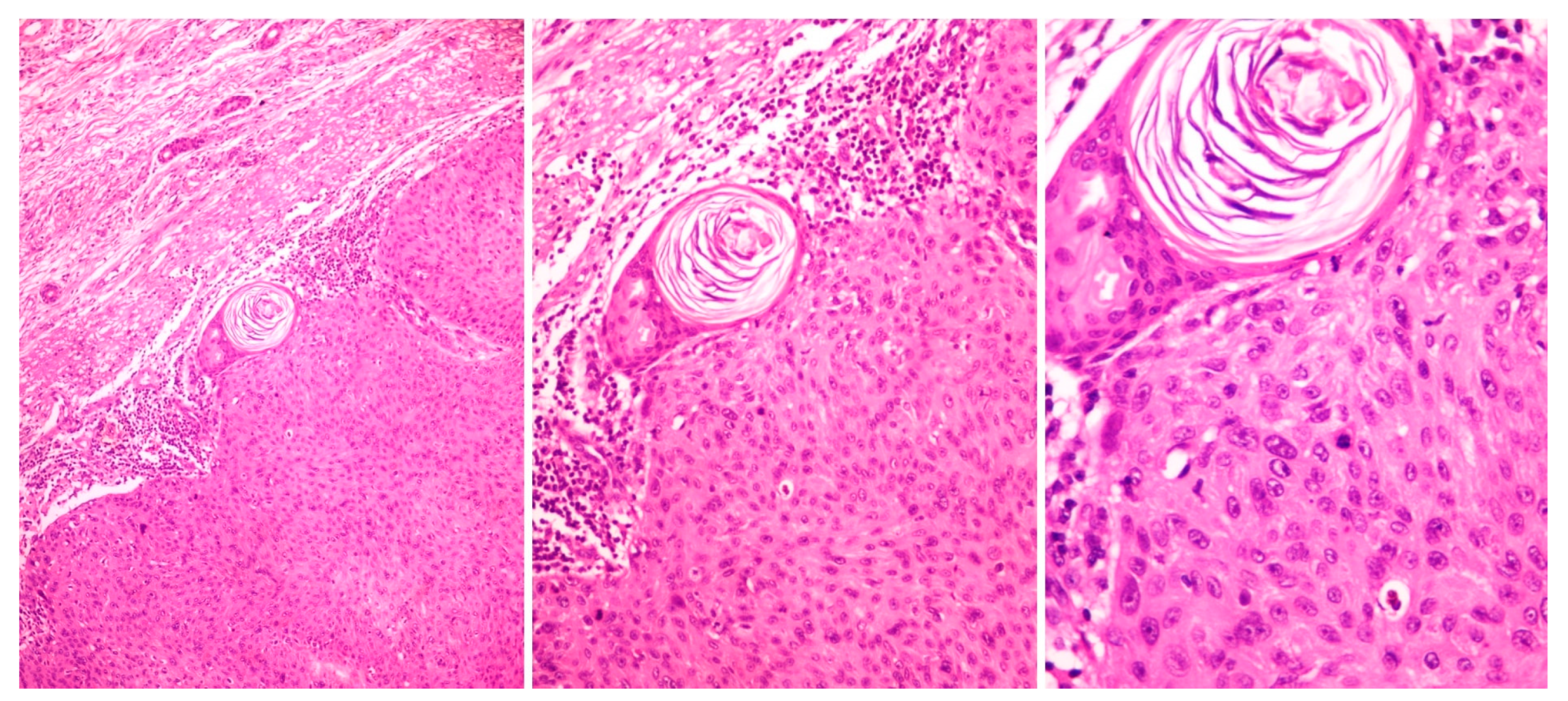 Diagnostics 13 01431 g003 Diagnostics 13 01431 g003