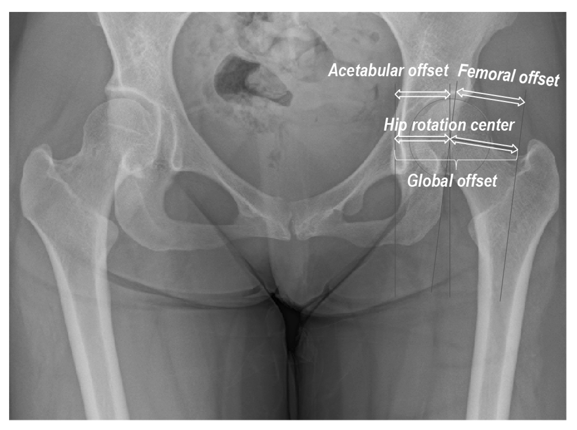 Diagnostics 13 01434 g001 Diagnostics 13 01434 g001