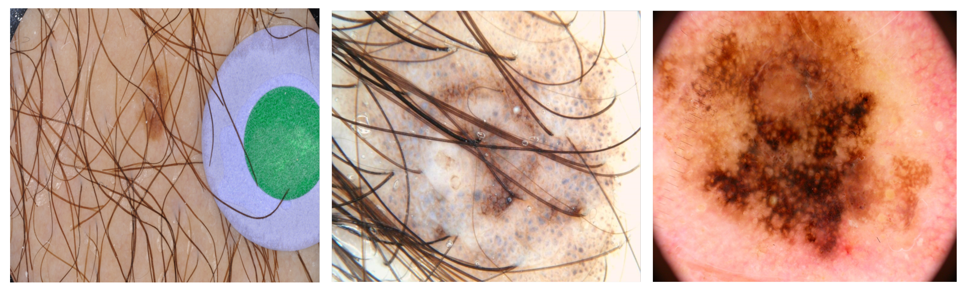 Diagnostics 13 01460 g001 Diagnostics 13 01460 g001