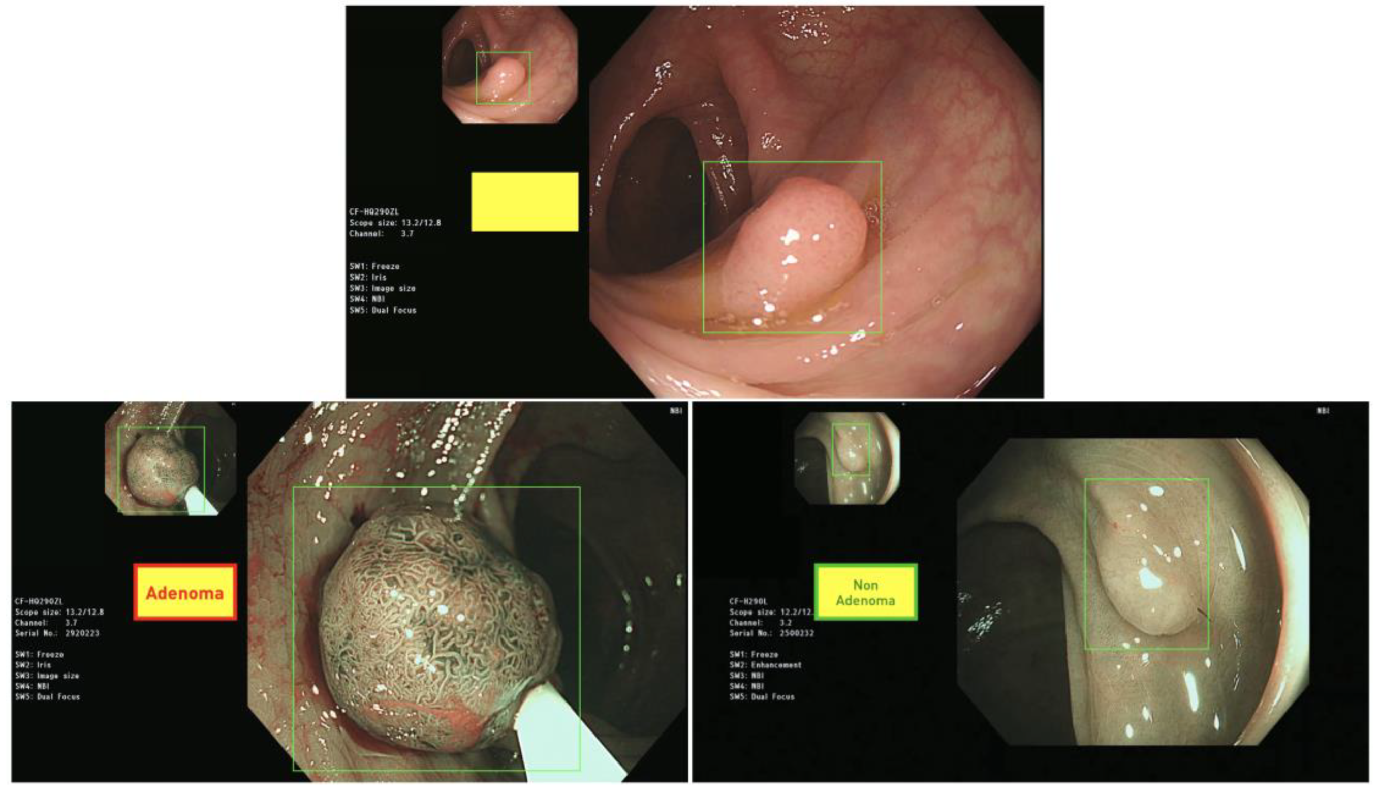 Diagnostics 13 01473 g002 Diagnostics 13 01473 g002