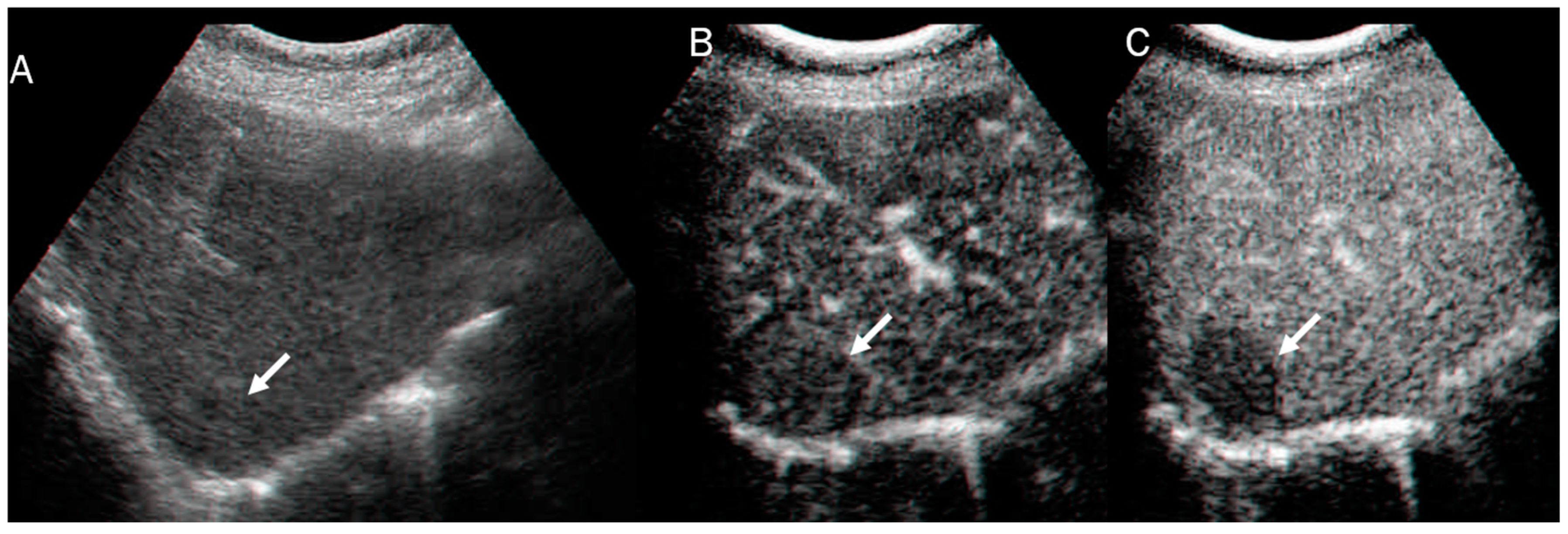 Diagnostics 13 01488 g003 Diagnostics 13 01488 g003