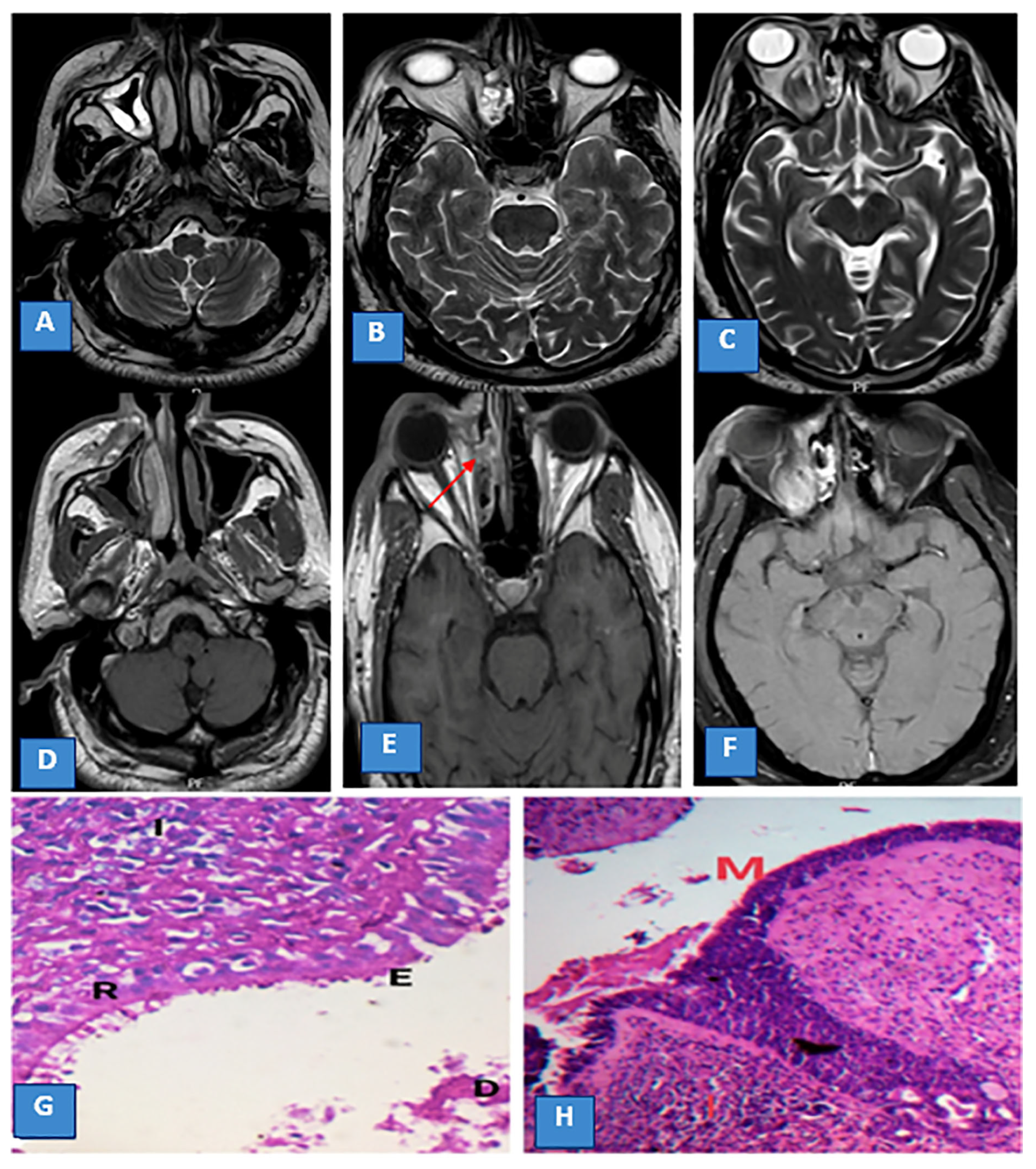 Diagnostics 13 01546 g001 Diagnostics 13 01546 g001