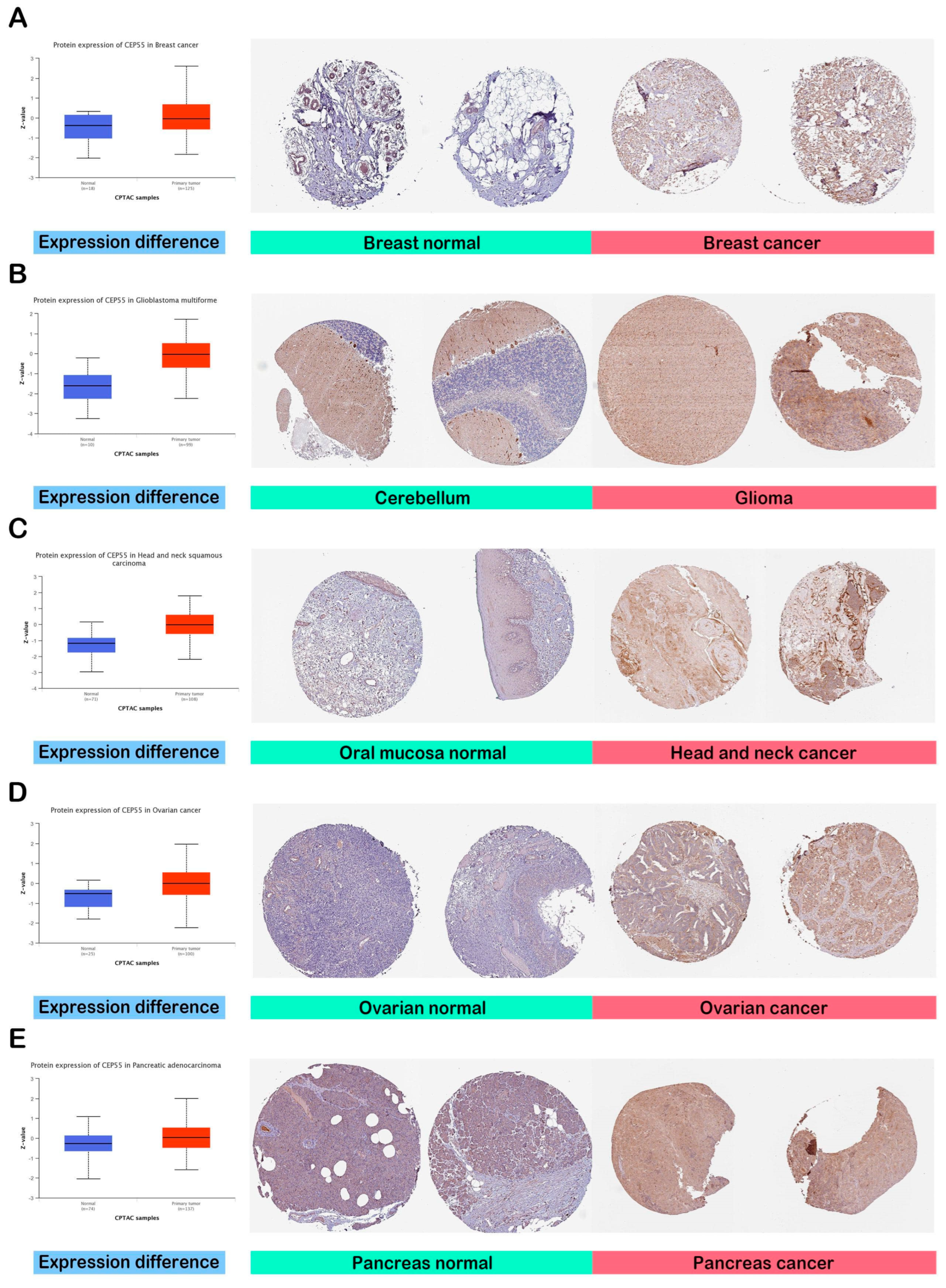Diagnostics 13 01613 g002 Diagnostics 13 01613 g002
