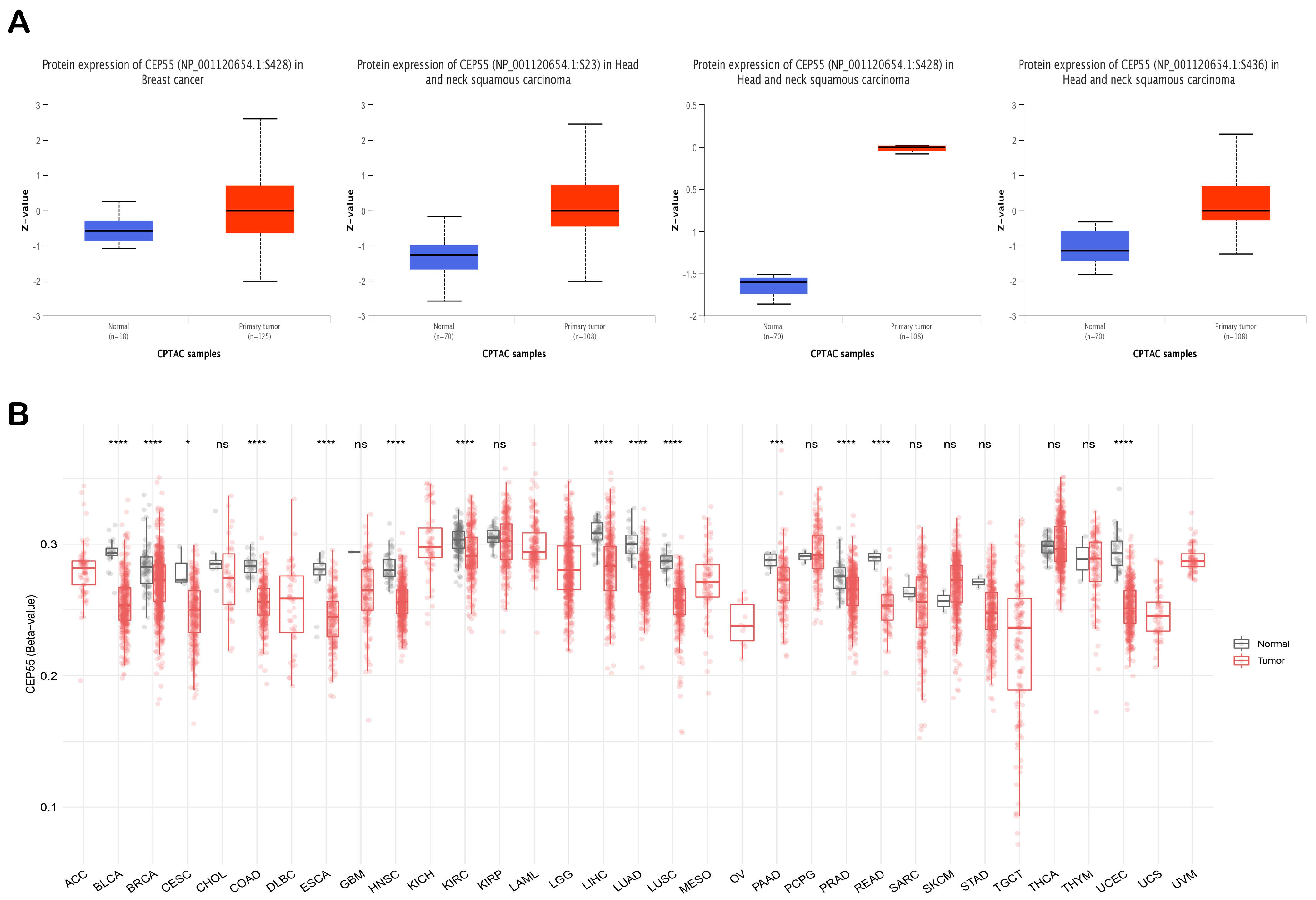 Diagnostics 13 01613 g005 Diagnostics 13 01613 g005