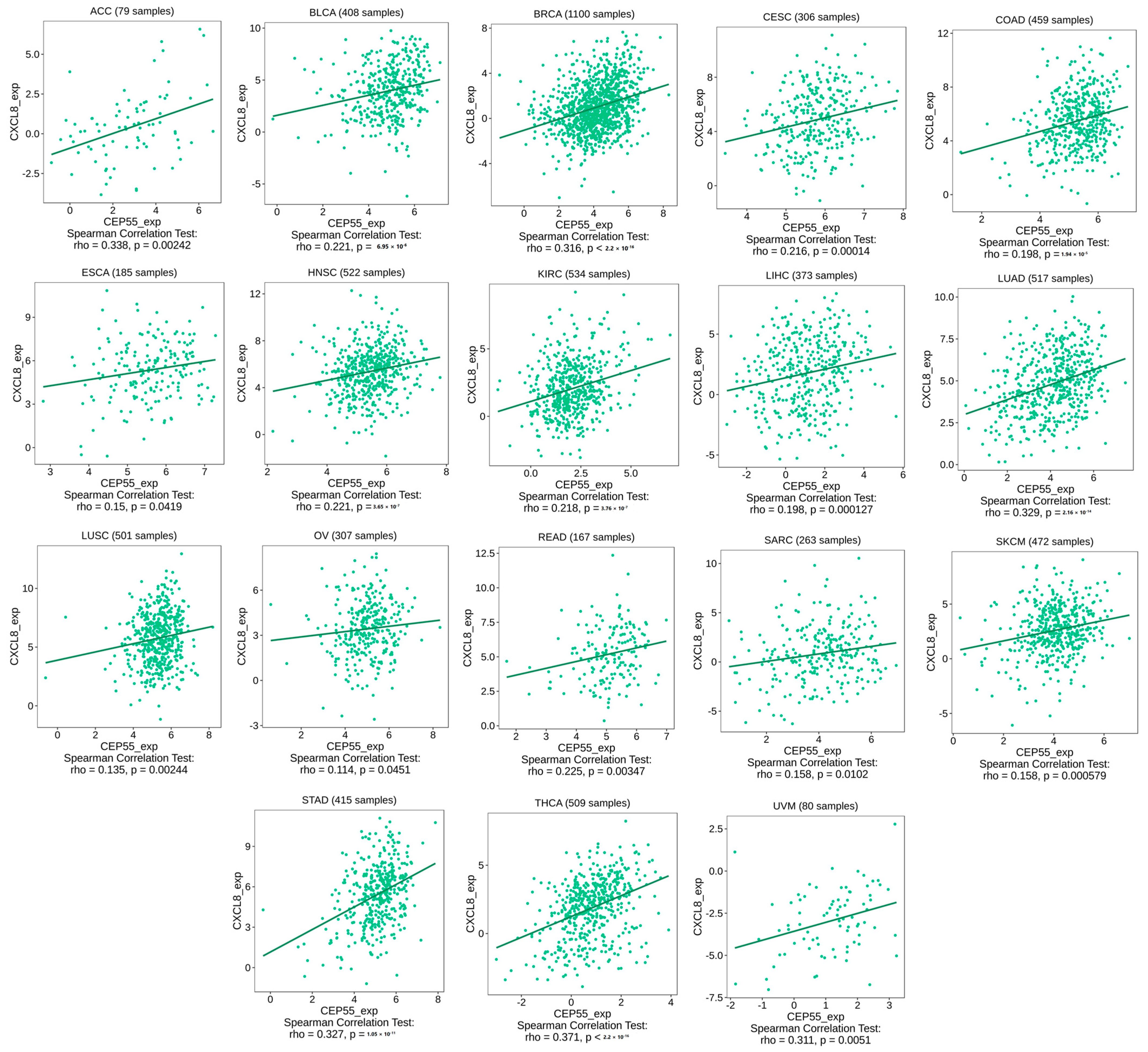 Diagnostics 13 01613 g008 Diagnostics 13 01613 g008