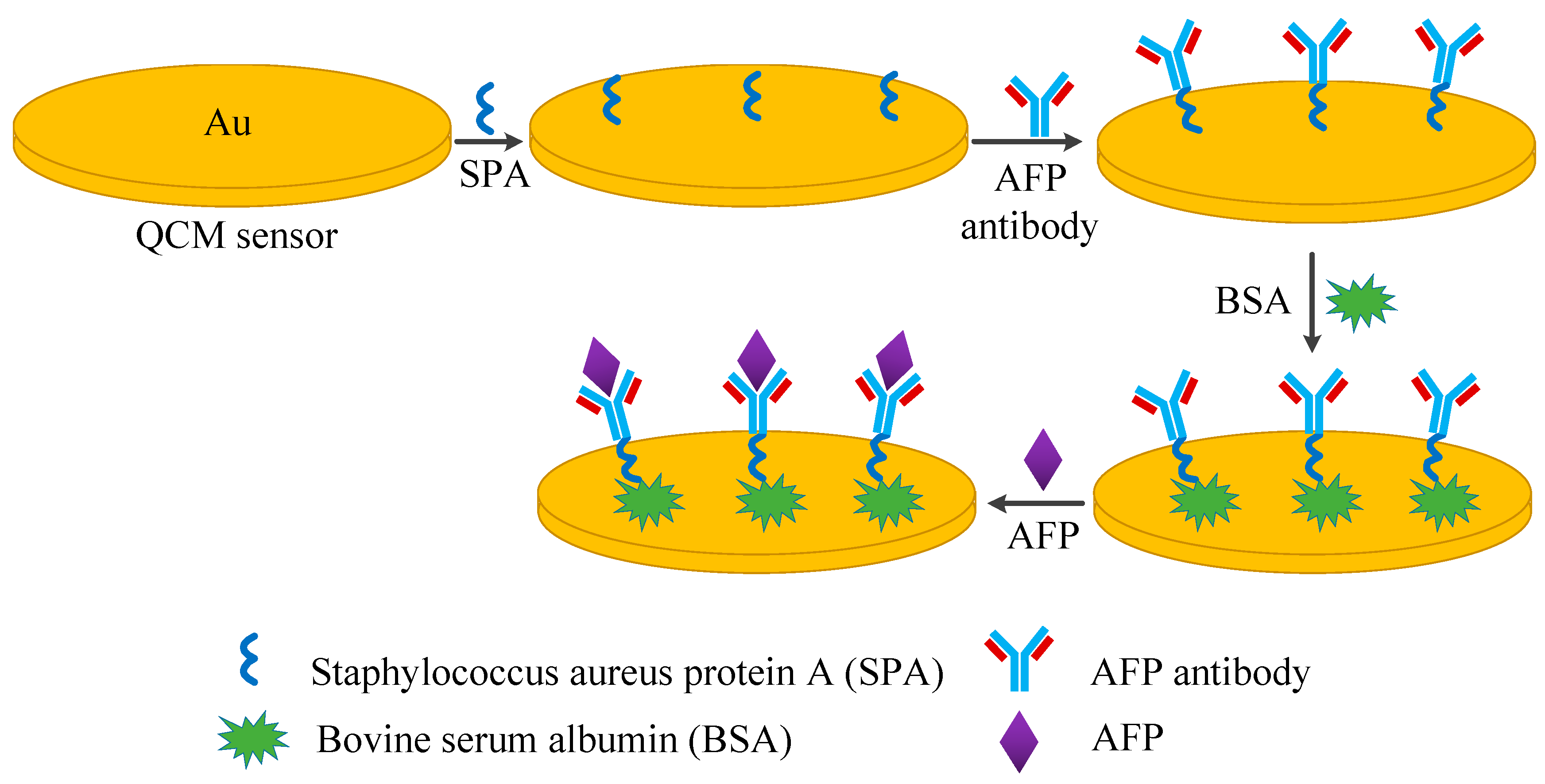 Diagnostics 13 01630 g001