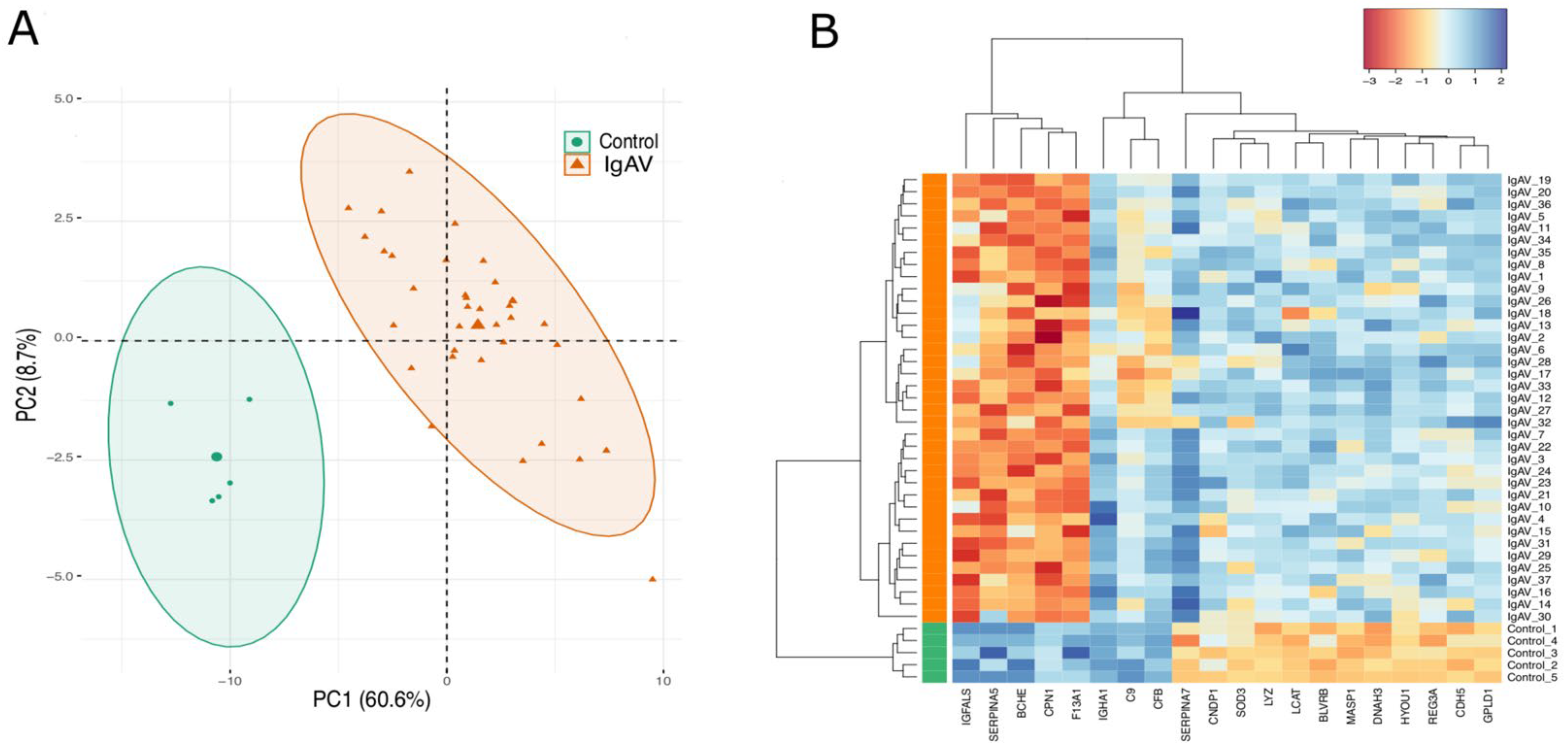 Diagnostics 13 01729 g001