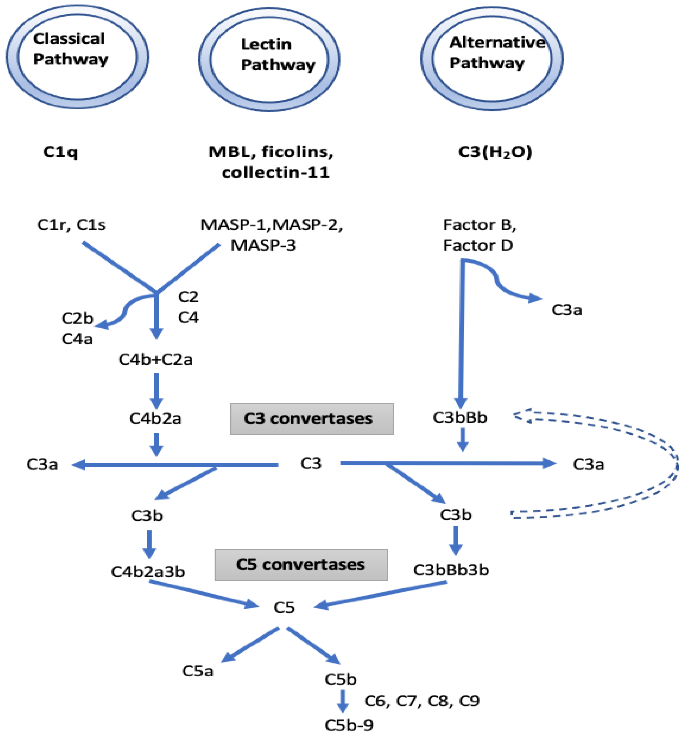 Diagnostics 13 01729 g004