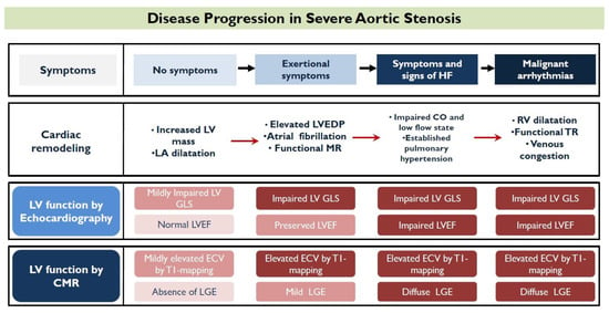 Global Longitudinal Strain: Is It Time to Change the Preoperative Cardiac  Assessment of Oncology Patients?