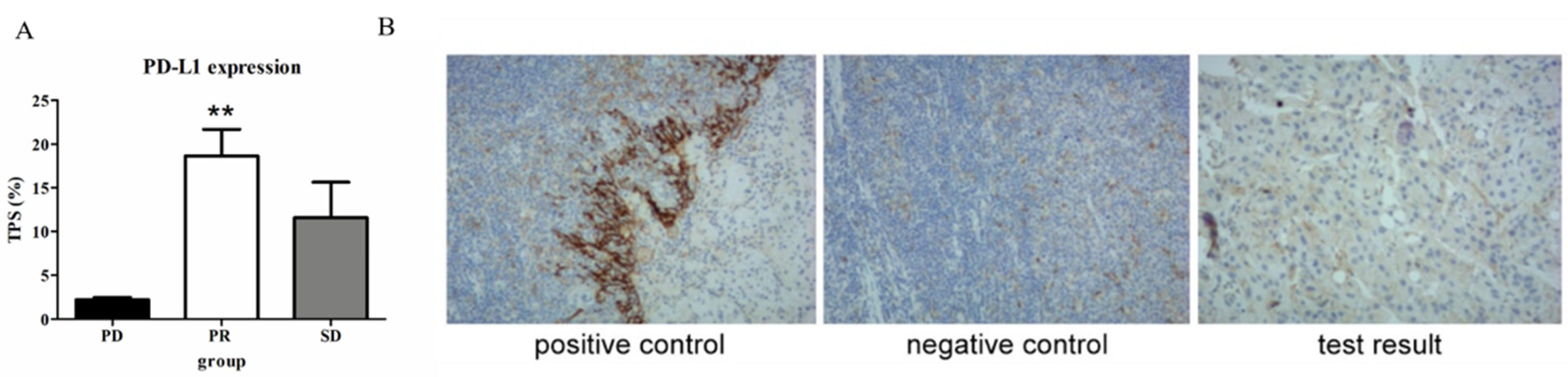 Diagnostics 13 01833 g005 Diagnostics 13 01833 g005