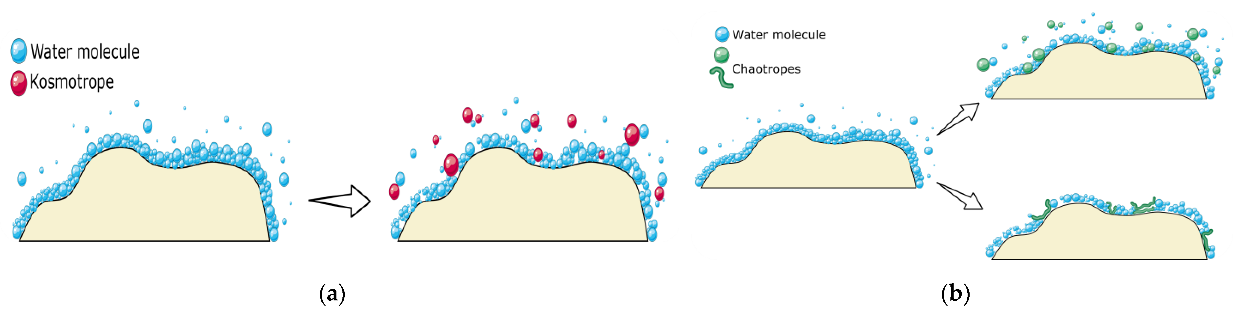 Diagnostics 13 01835 g004 Diagnostics 13 01835 g004