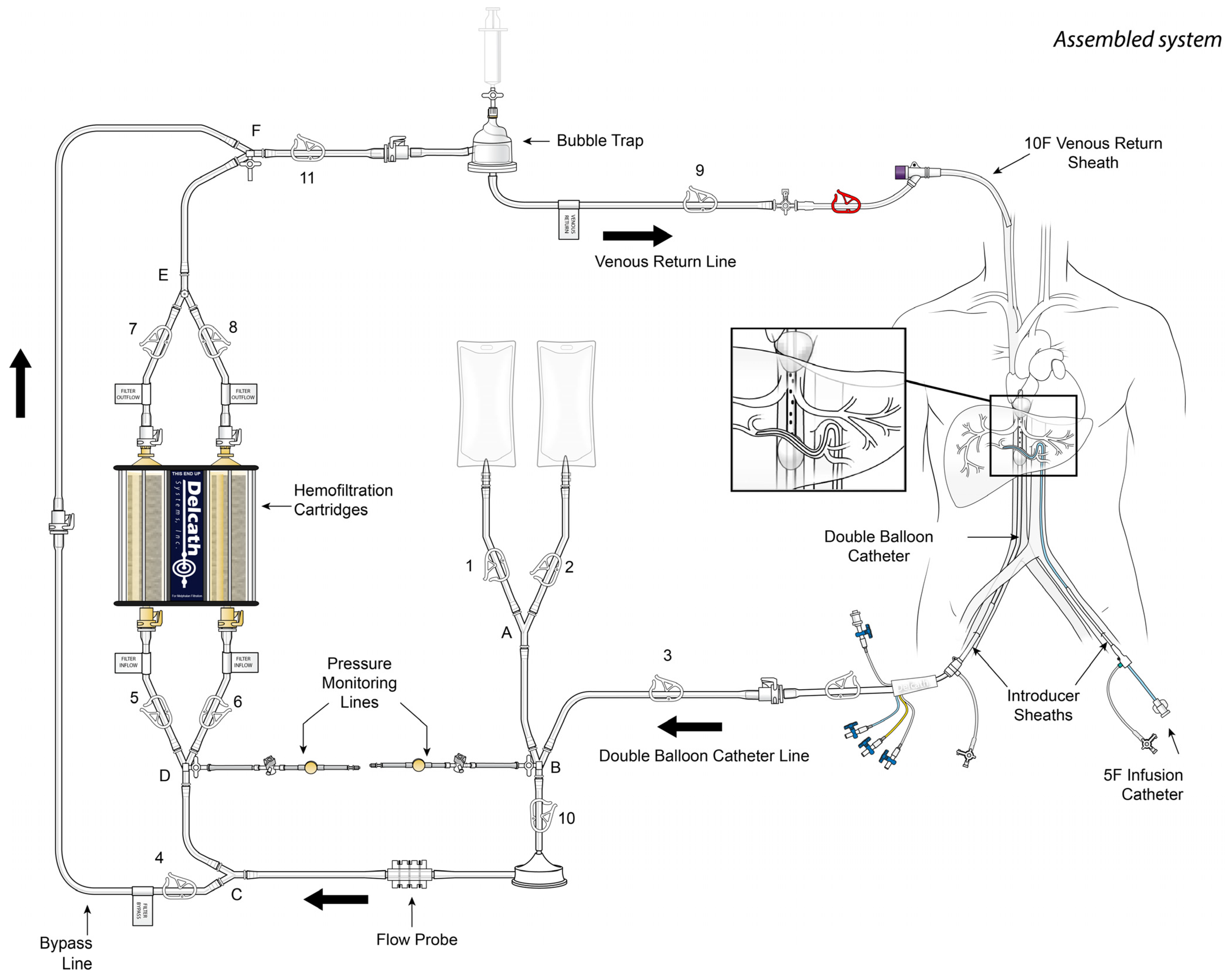 Diagnostics 13 01836 g001 Diagnostics 13 01836 g001
