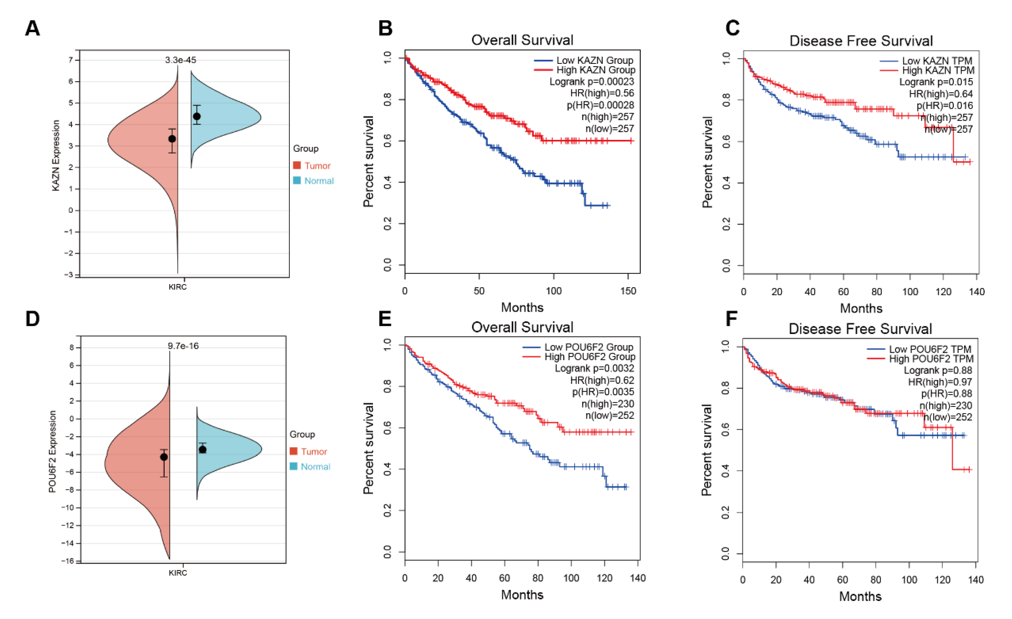 Diagnostics 13 01855 g006