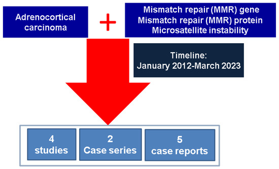 Diagnostics | Free Full-Text | Pathogenic Insights into DNA Mismatch ...