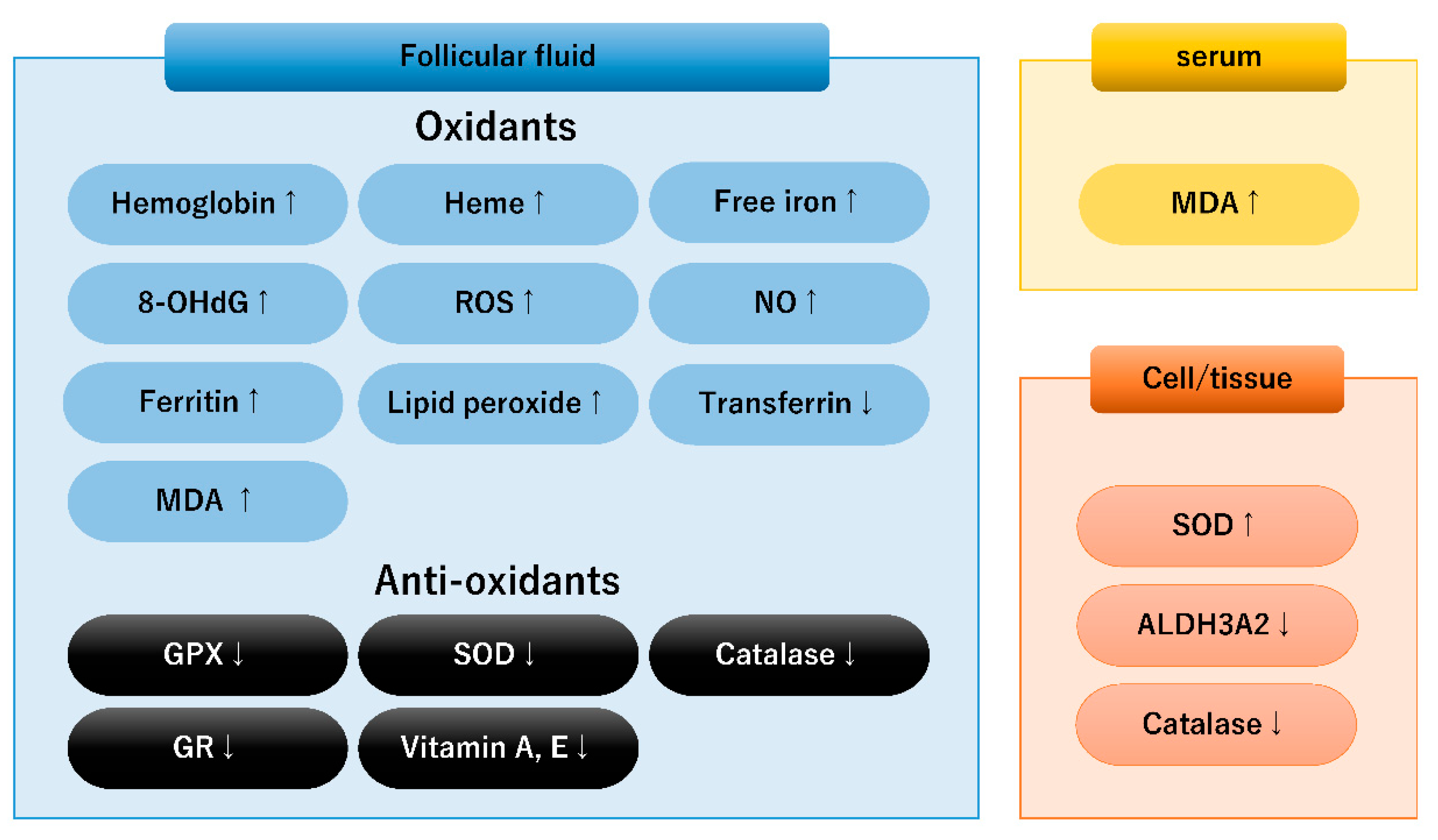 Diagnostics 13 01926 g001 Diagnostics 13 01926 g001