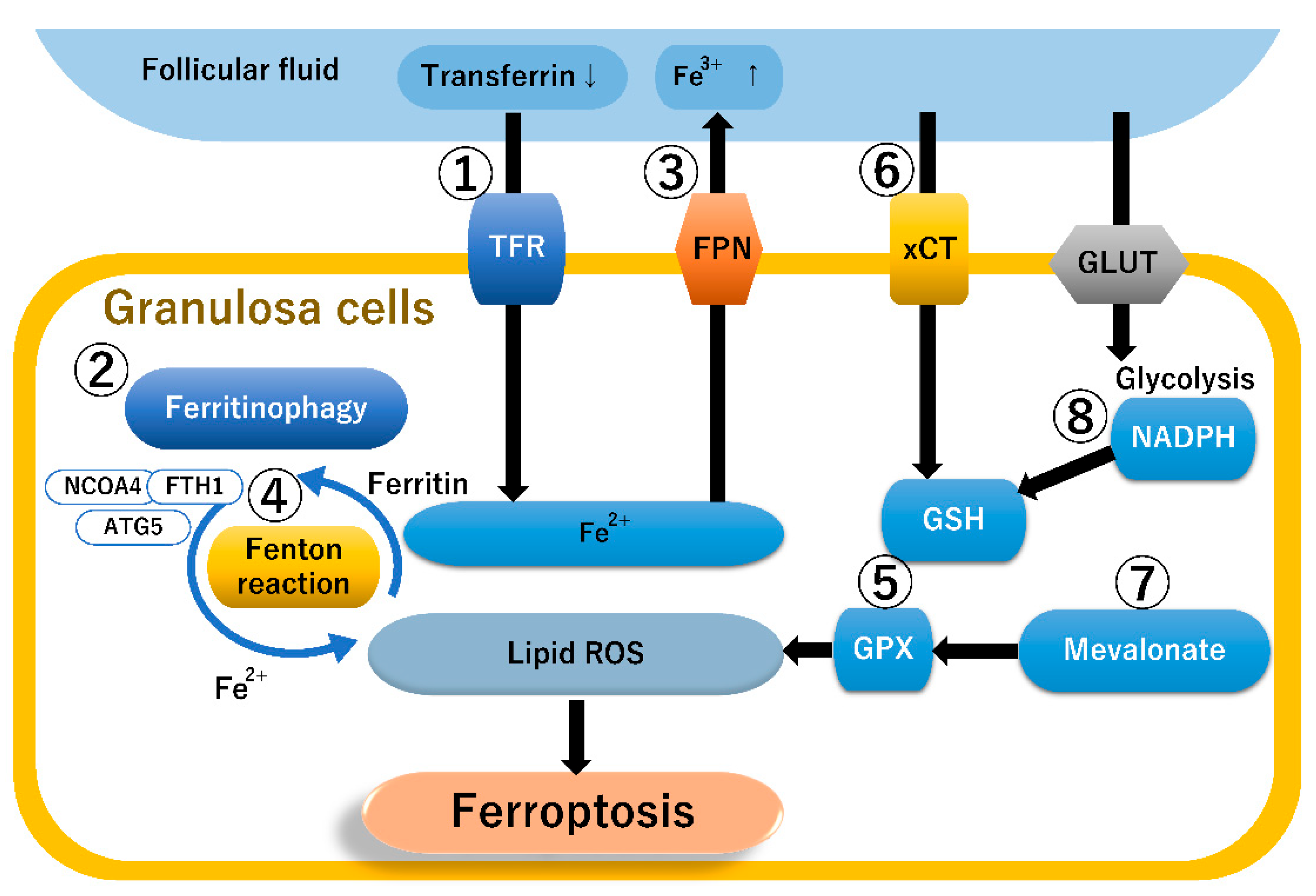 Diagnostics 13 01926 g002 Diagnostics 13 01926 g002