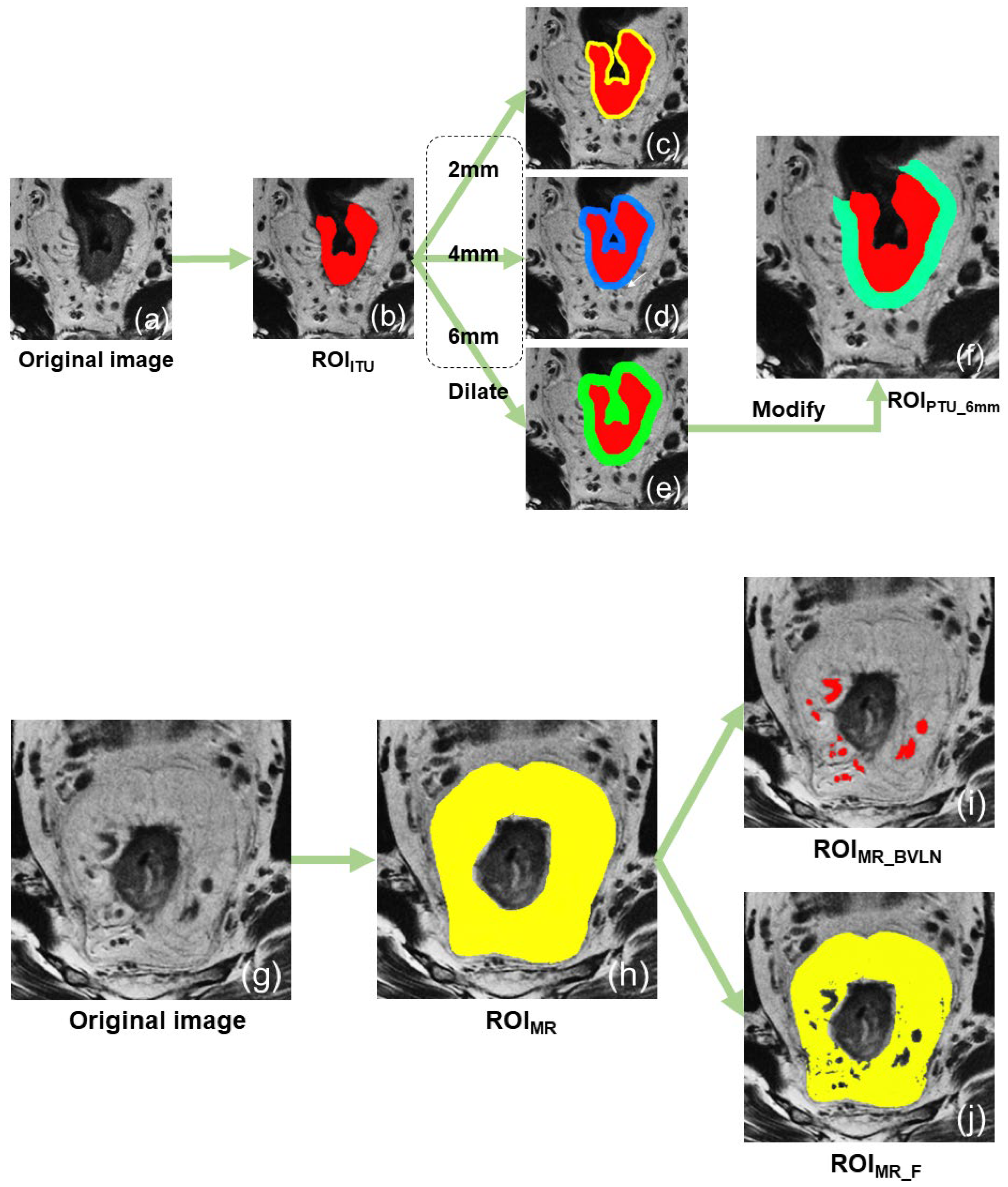 Diagnostics 13 01987 g002
