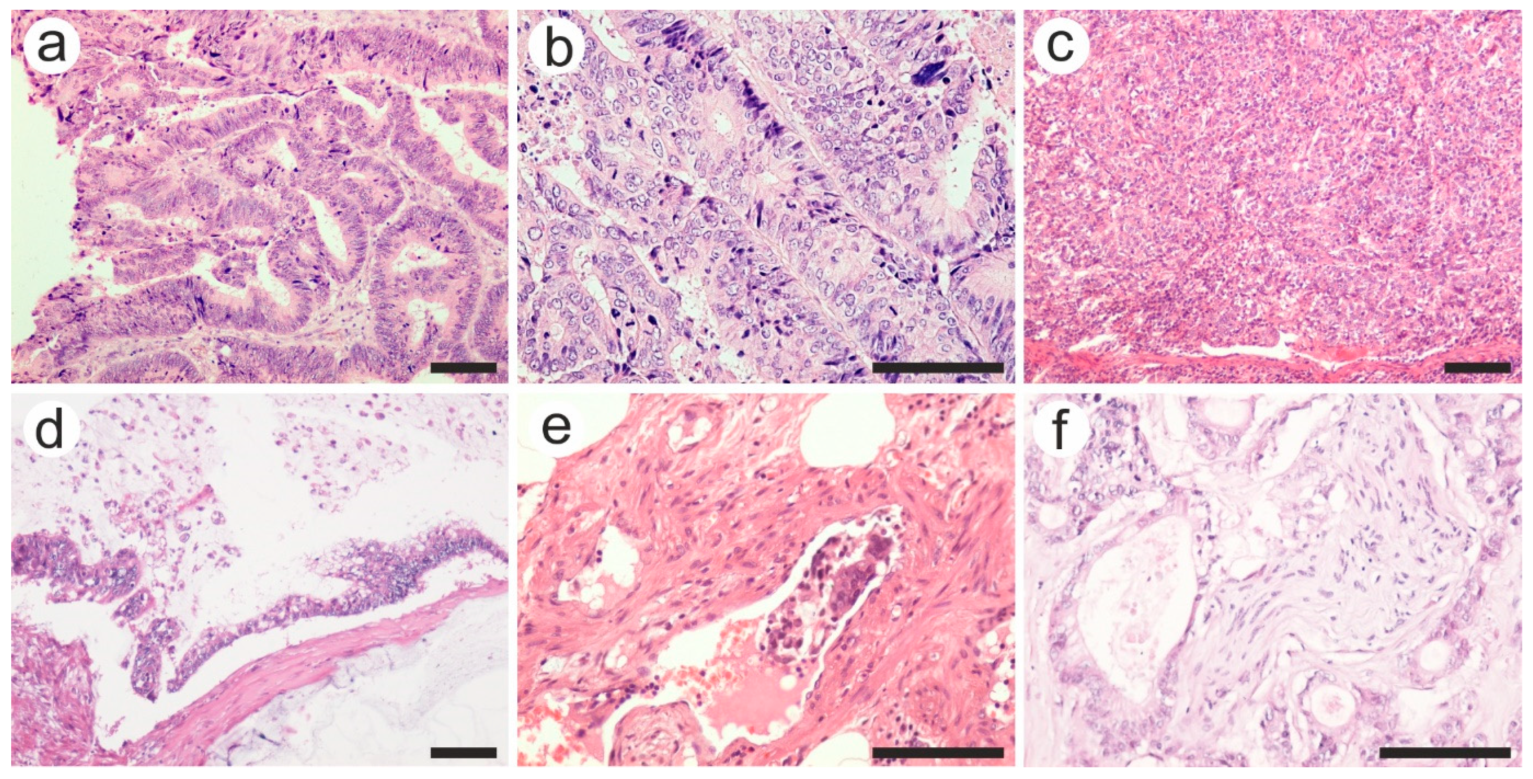 Diagnostics 13 02016 g003 Diagnostics 13 02016 g003
